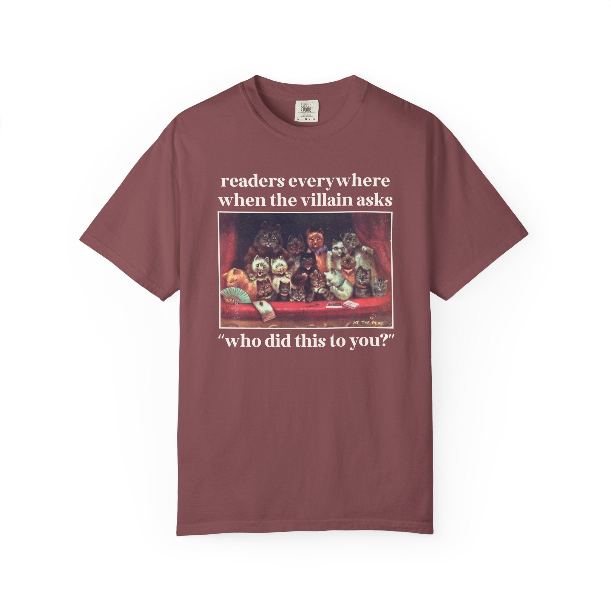 Funny Villain Lover Tee Shirt for Bookworm Who Loves Romantasy Novels, Funny Romance Reader Gift for Librarian, Silly Bookish Cat Lover Tee - Opal and June