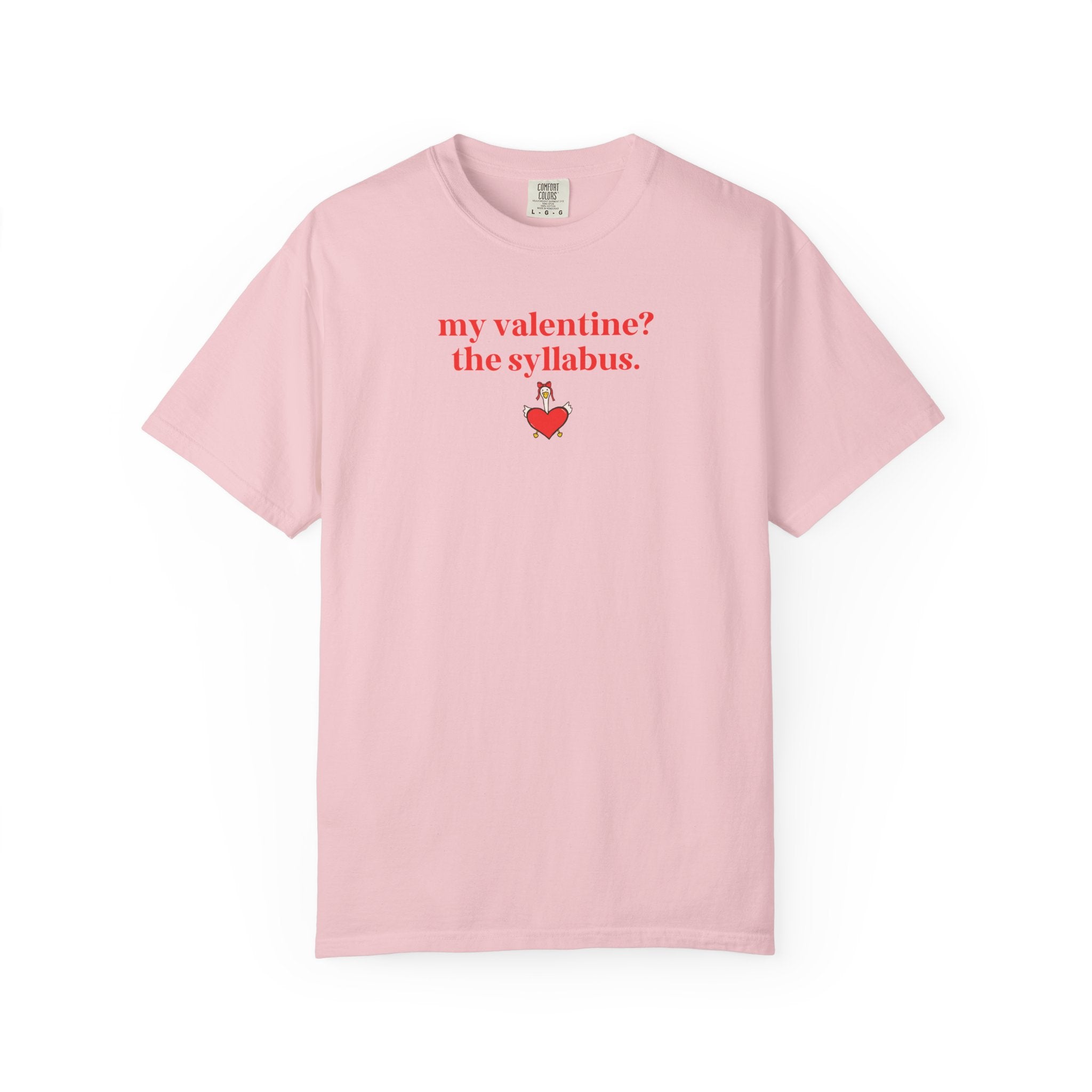 High School Teacher Matching Valentine's Day Shirt: My Valentine? The Syllabus | Silly College Professor, Teaching Assistant Tee with Goose - Opal and June