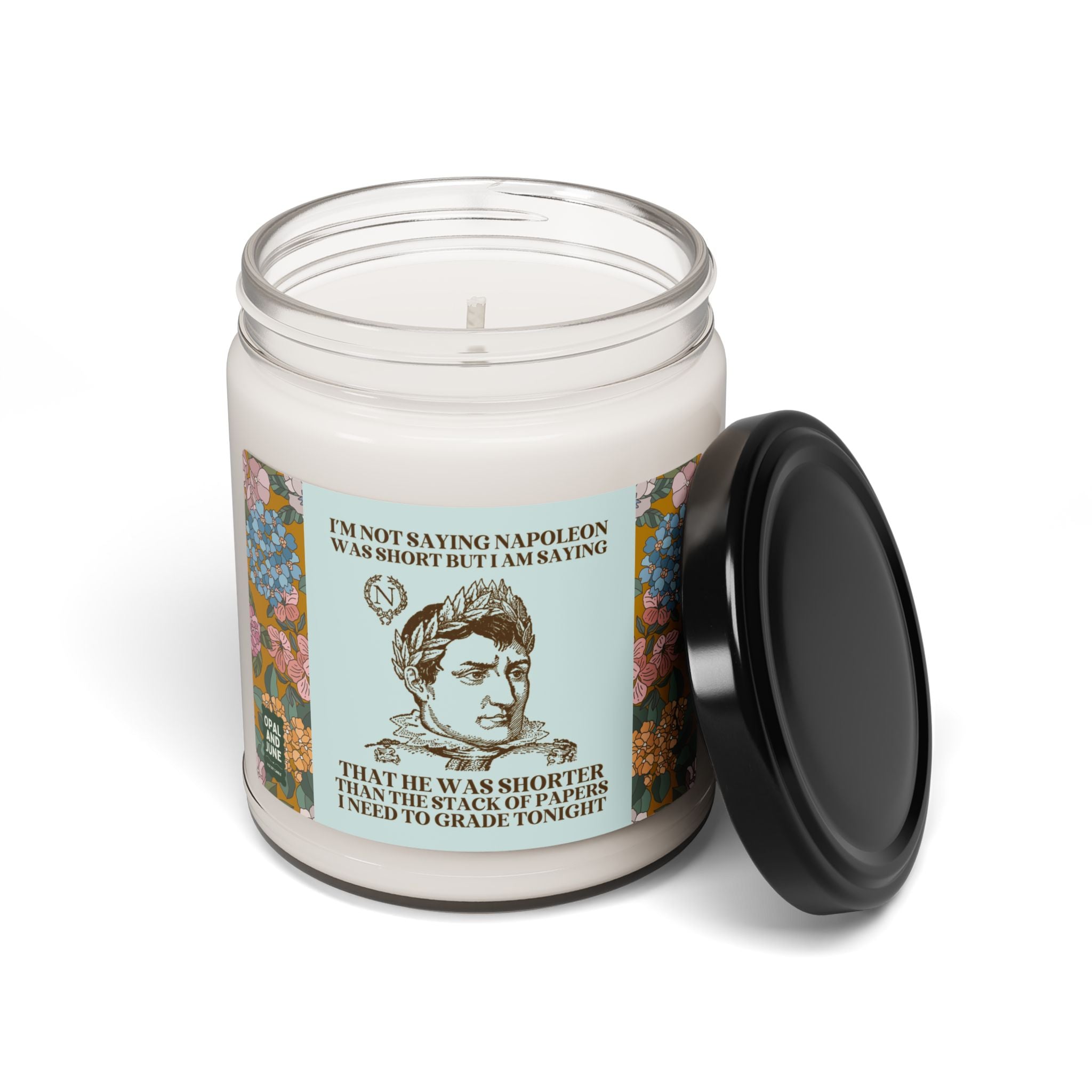 History Teacher 9 Oz Soy Candle, French History, Funny Saying Teacher Appreciation, Matching Teacher Gift, High School History Department - Opal and June