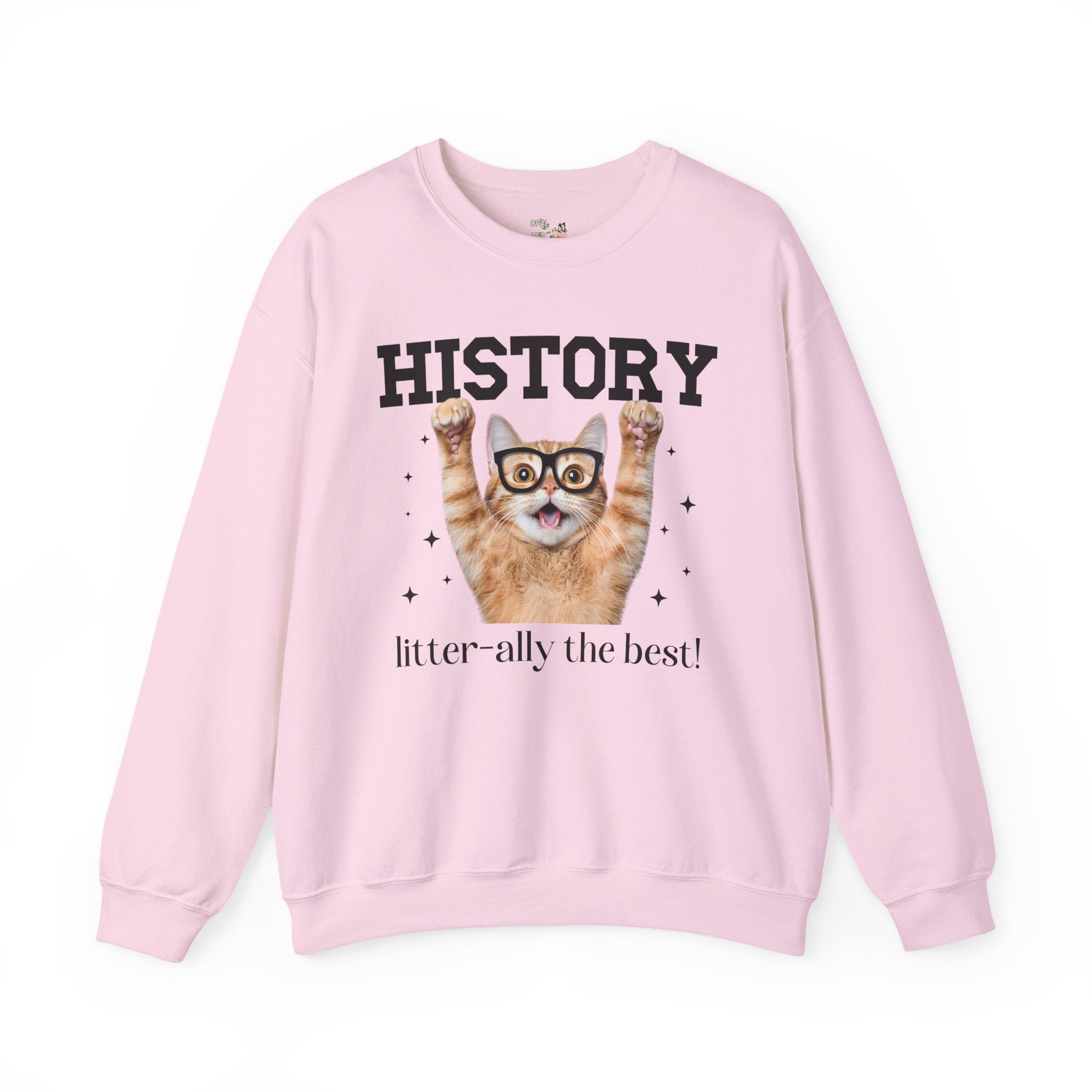 History Teacher Cat Lover - Opal and June