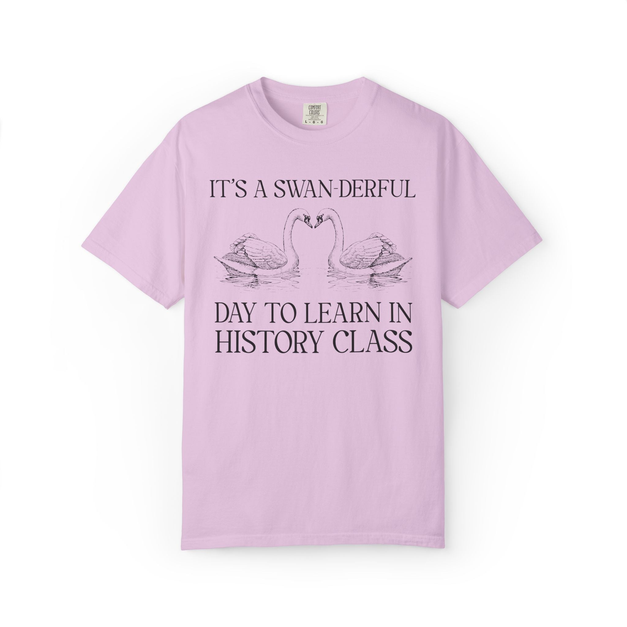 History Teacher Cottagecore Swan T-Shirt: It's a Swan-derful Day to Learn | Cute Back to School Matching Teacher Tee for Animal Lover - Opal and June