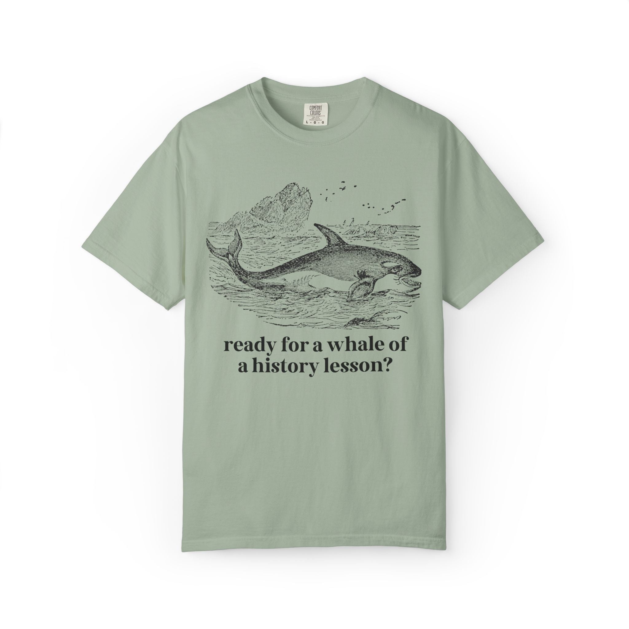 History Teacher T-Shirt for High School History Teacher Who Loves Whales: You Ready for a Whale of a History Lesson? History Professor Gift - Opal and June