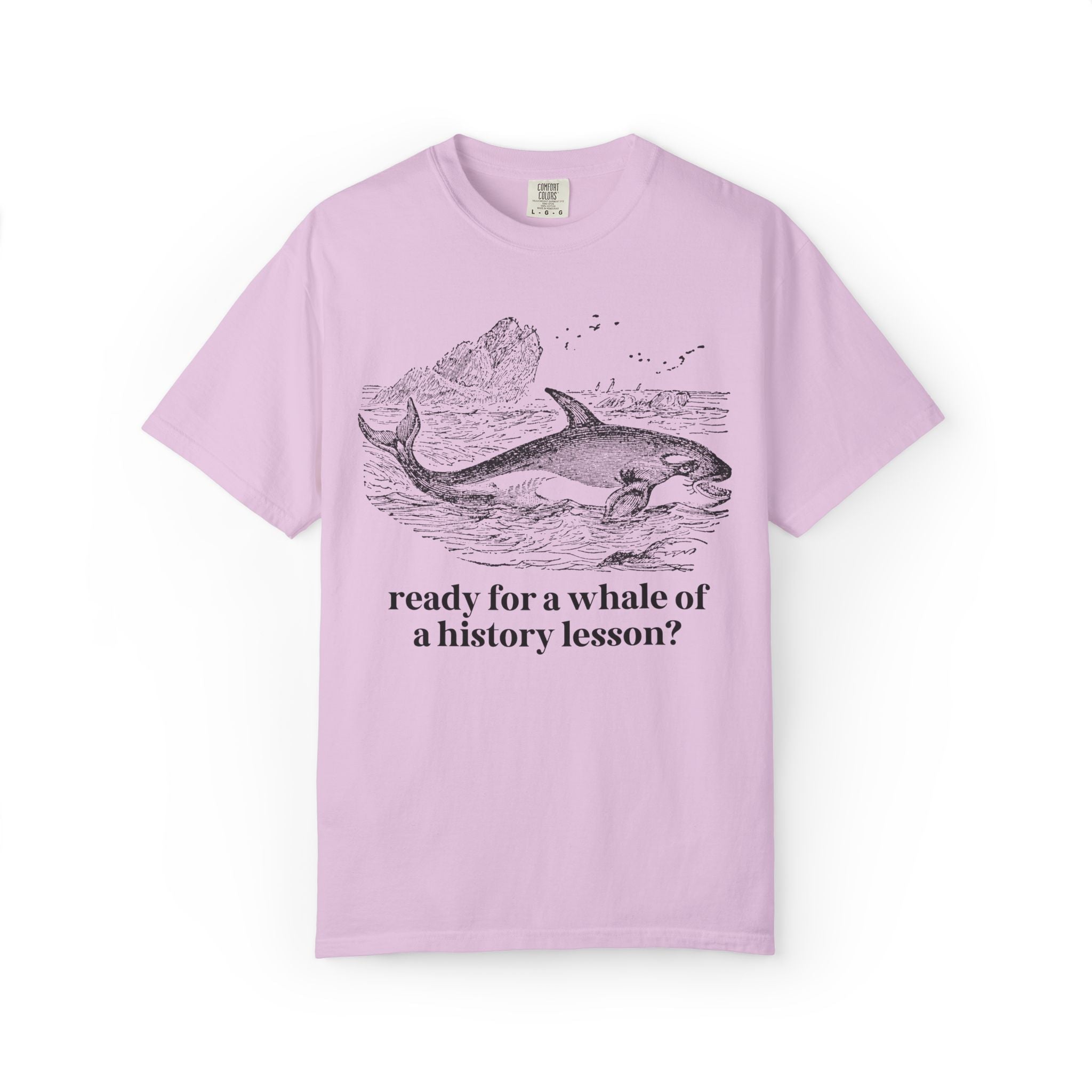 History Teacher T-Shirt for High School History Teacher Who Loves Whales: You Ready for a Whale of a History Lesson? History Professor Gift - Opal and June
