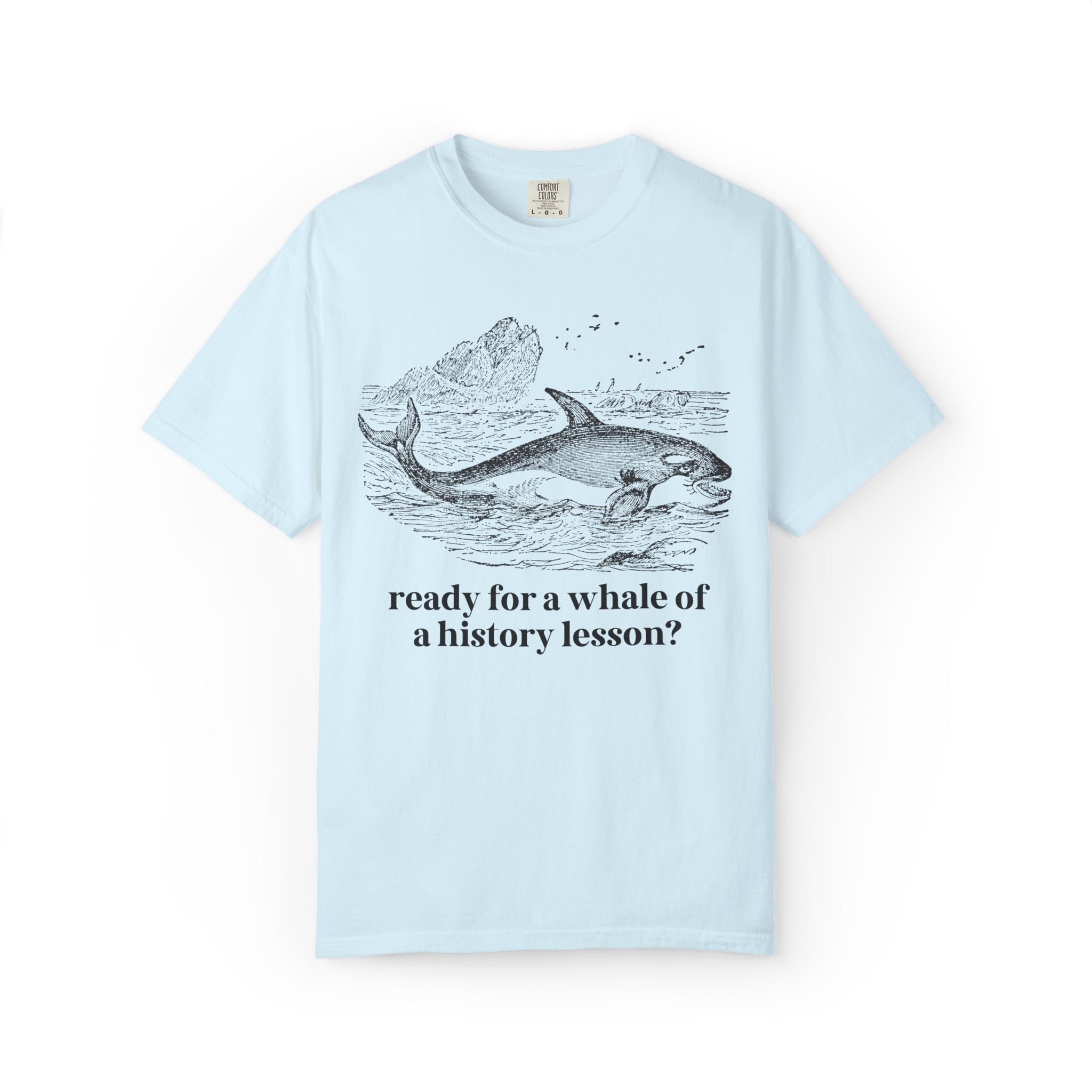 History Teacher T-Shirt for High School History Teacher Who Loves Whales: You Ready for a Whale of a History Lesson? History Professor Gift - Opal and June