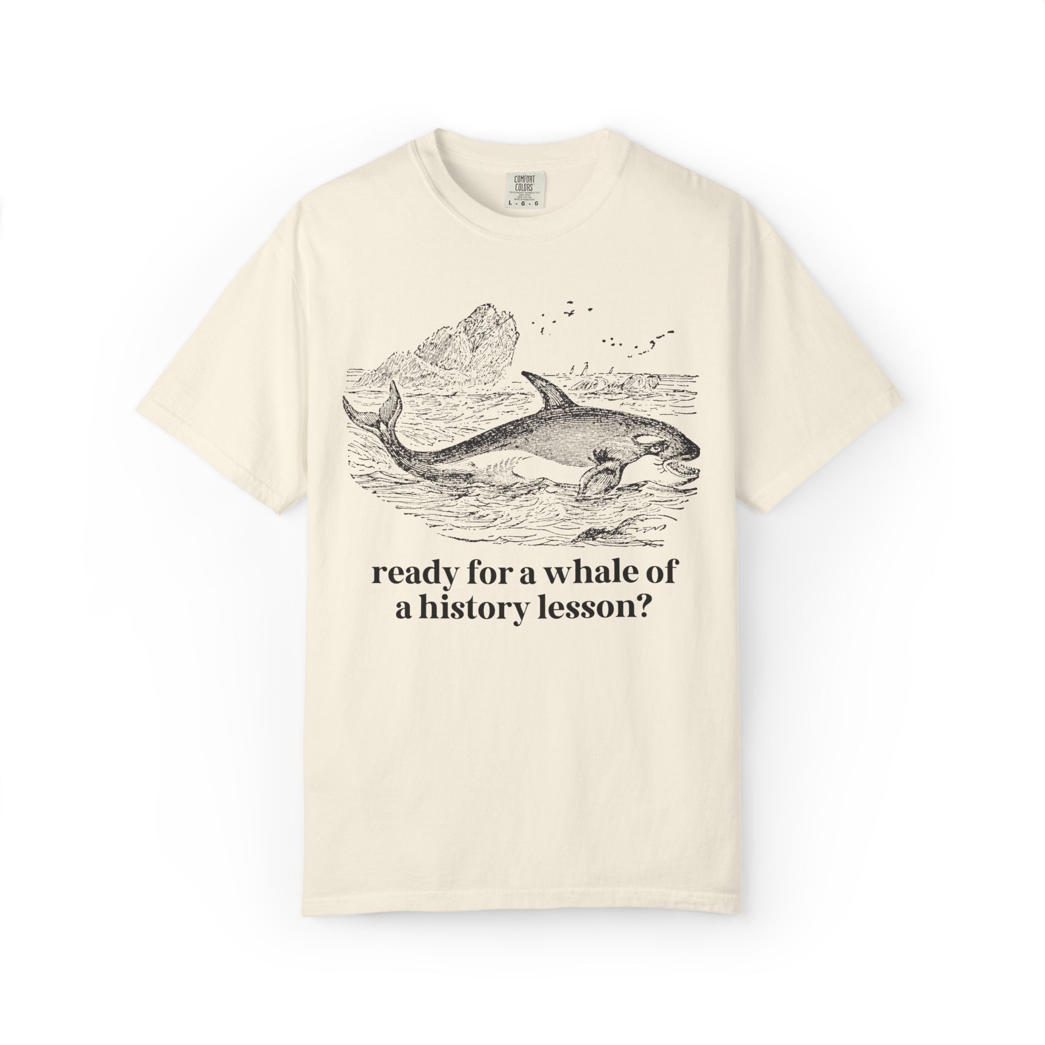 History Teacher T-Shirt for High School History Teacher Who Loves Whales: You Ready for a Whale of a History Lesson? History Professor Gift - Opal and June
