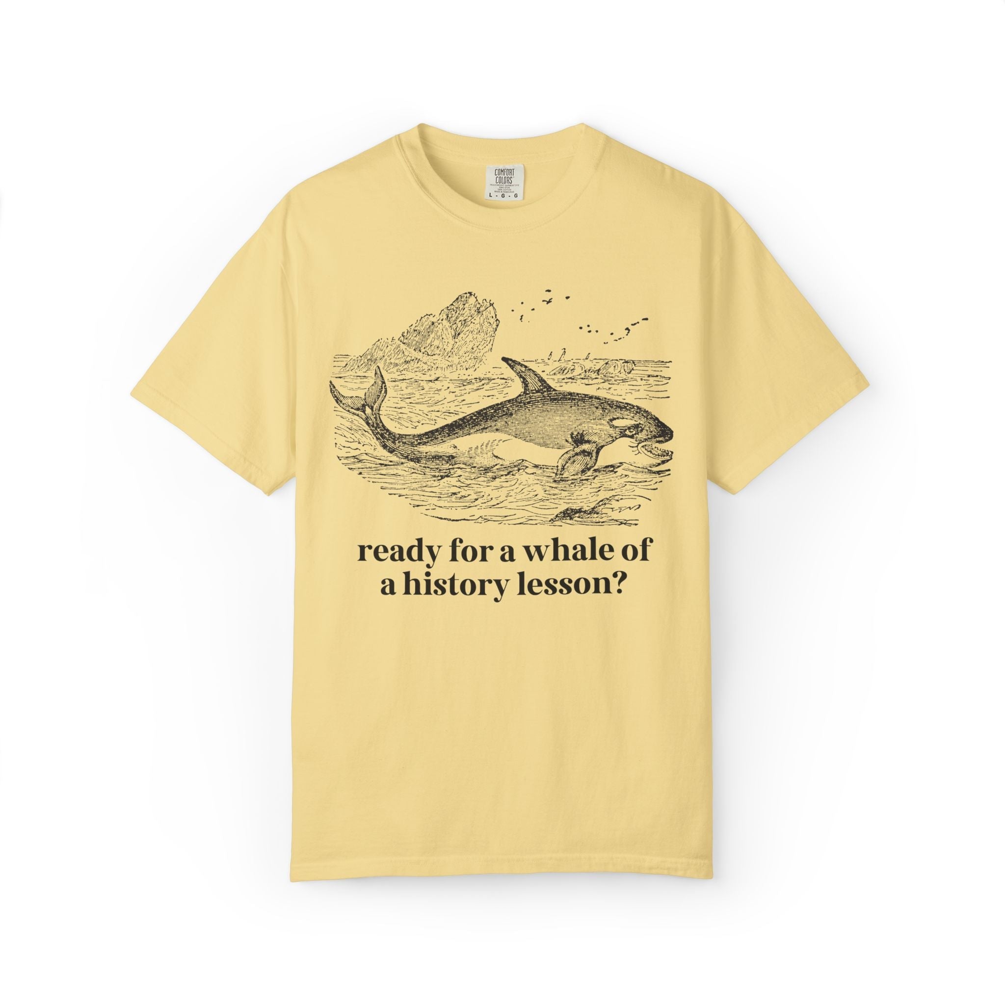 History Teacher T-Shirt for High School History Teacher Who Loves Whales: You Ready for a Whale of a History Lesson? History Professor Gift - Opal and June