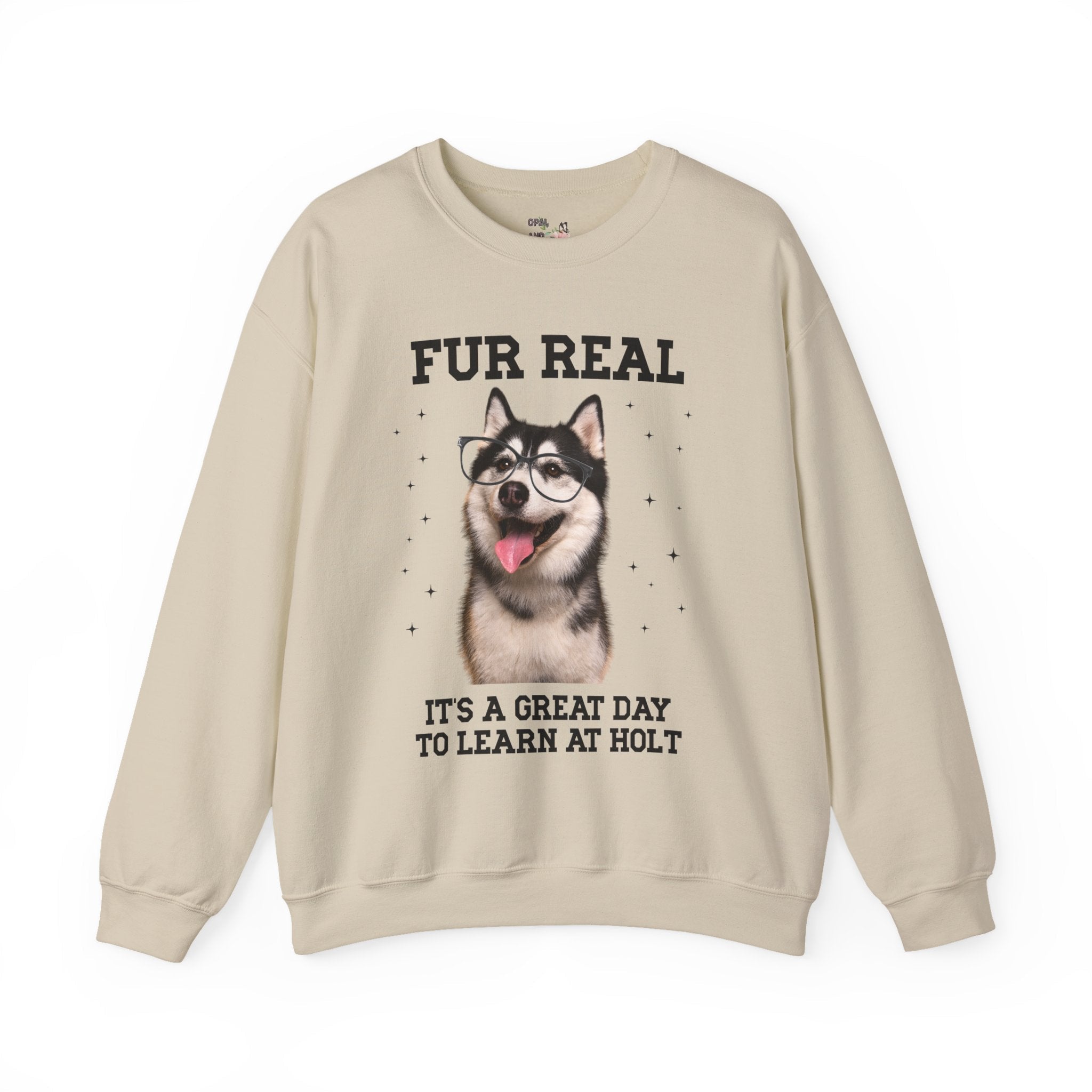 Holt Middle School Sweatshirt: Fur Real, It's a Great Day to Learn at Holt | FPS + Opal and June Sweatshirt, Fayetteville Public Schools - Opal and June