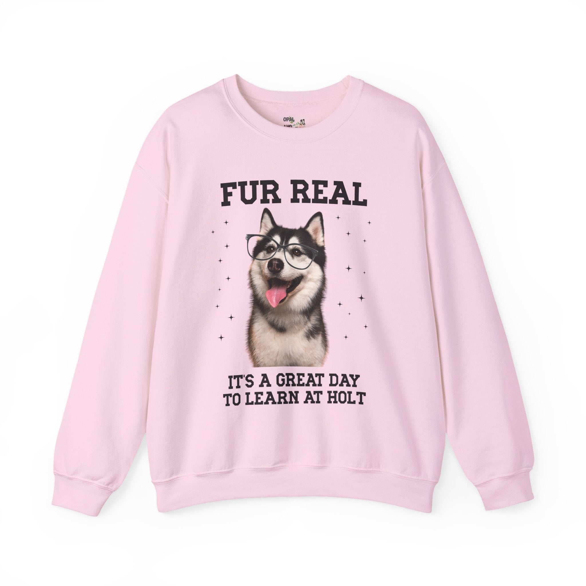 Holt Middle School Sweatshirt: Fur Real, It's a Great Day to Learn at Holt | FPS + Opal and June Sweatshirt, Fayetteville Public Schools - Opal and June
