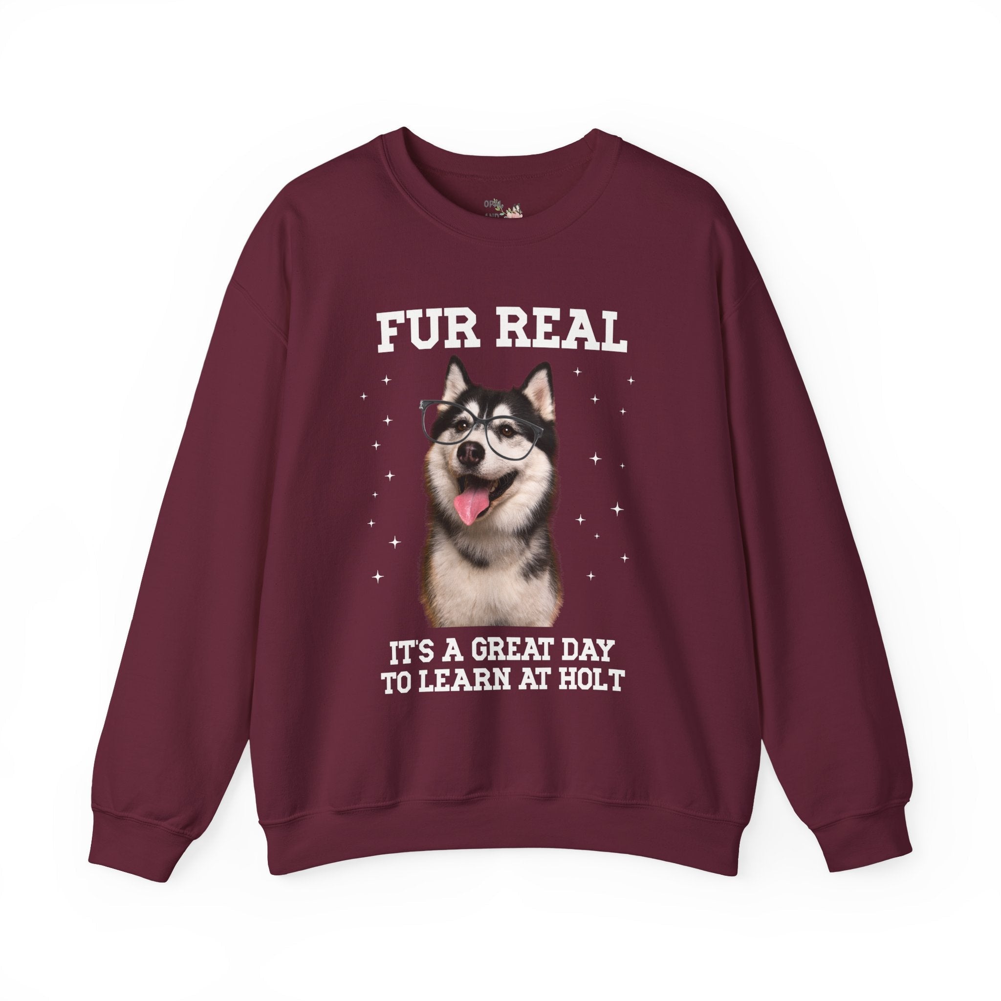Holt Middle School Sweatshirt: Fur Real, It's a Great Day to Learn at Holt | FPS + Opal and June Sweatshirt, Fayetteville Public Schools - Opal and June