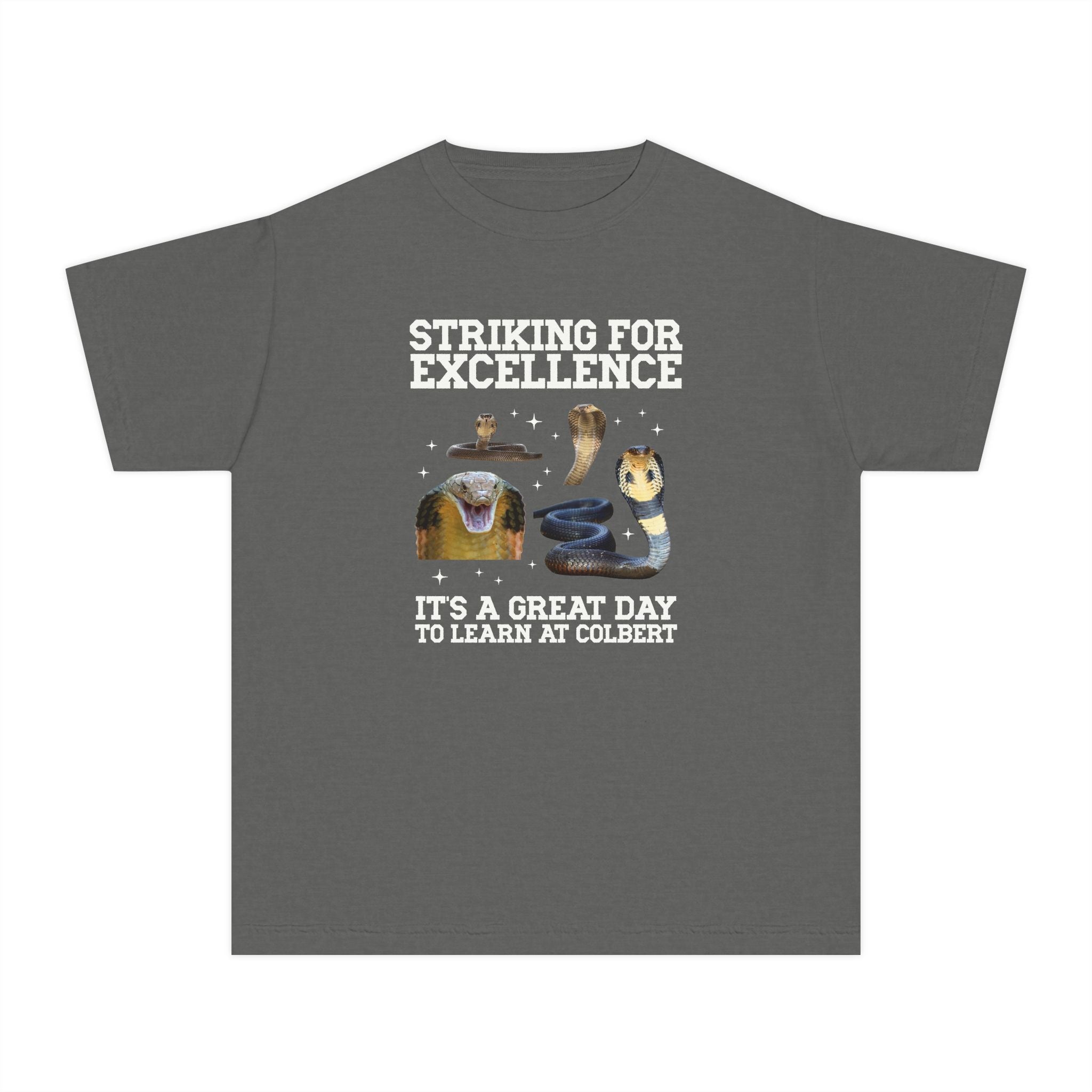John L. Colbert School Kids Tee Shirt: Striking for Excellence | FPS + Opal and June Kids Tee Shirt, Fayetteville Public Schools - Opal and June
