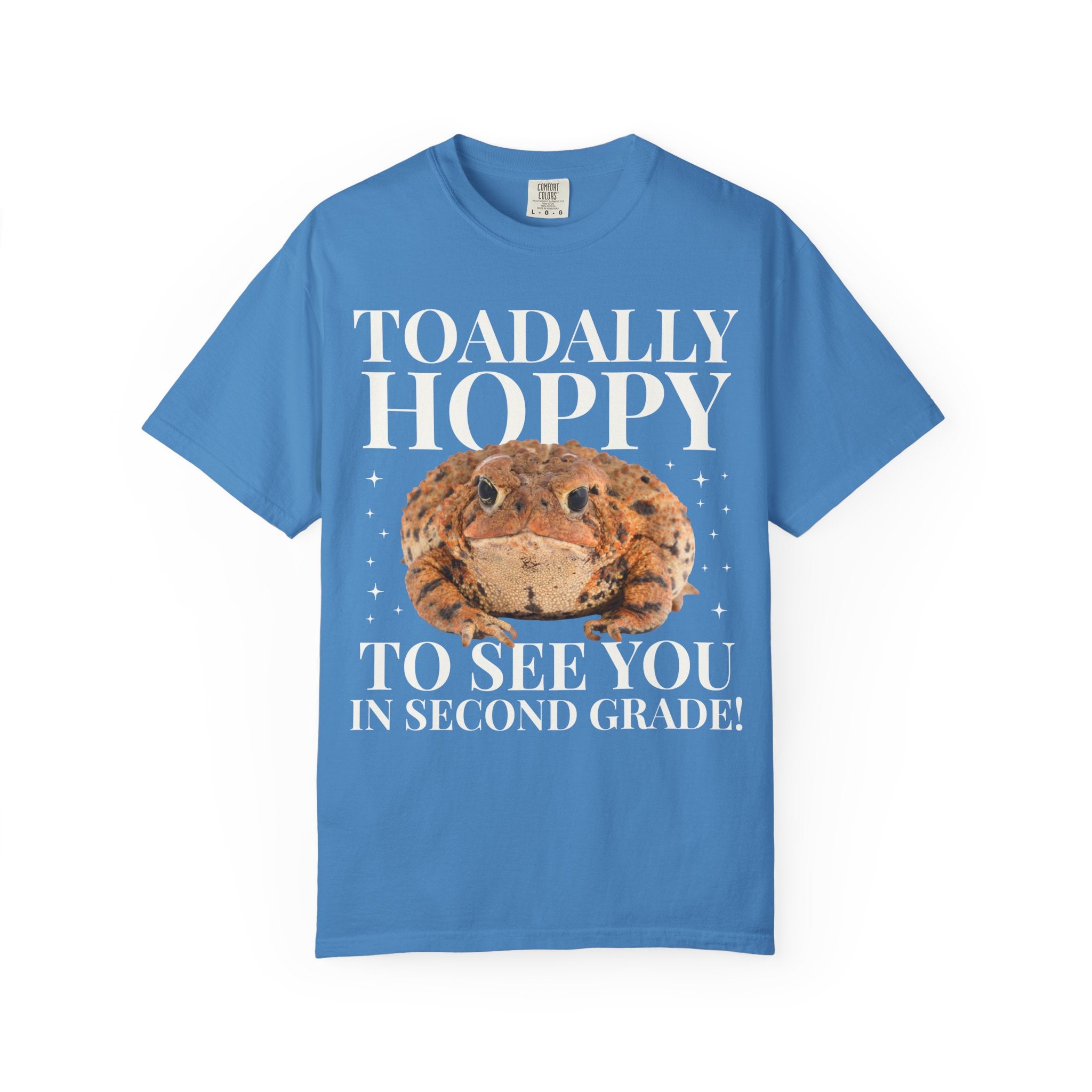 Matching Teacher T-Shirt for Second Grade Crew or High School History Teachers That Love Toads, Silly Animal Lover Moddle School Teacher Tee - Opal and June