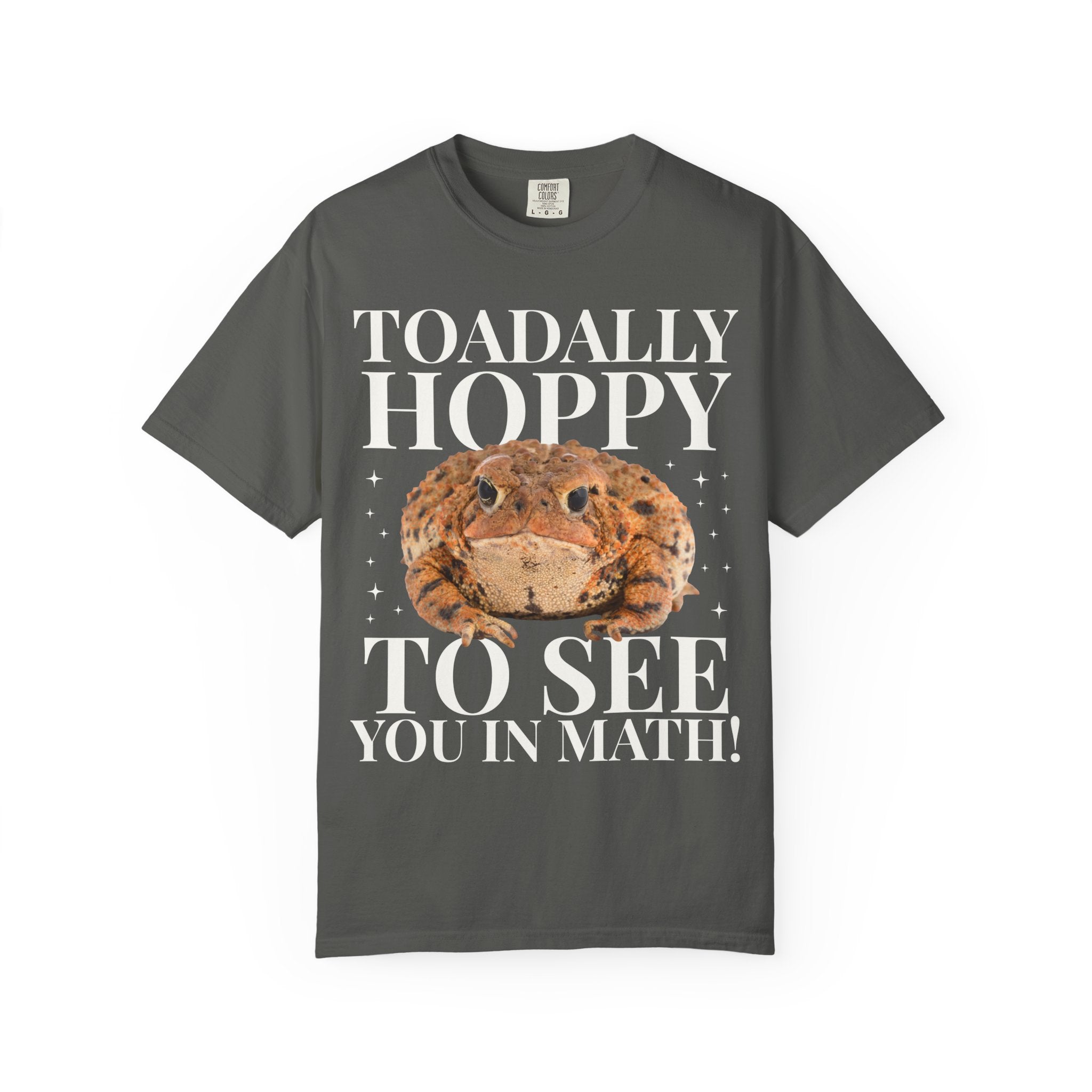 Matching Teacher T-Shirt for Second Grade Crew or High School History Teachers That Love Toads, Silly Animal Lover Moddle School Teacher Tee - Opal and June