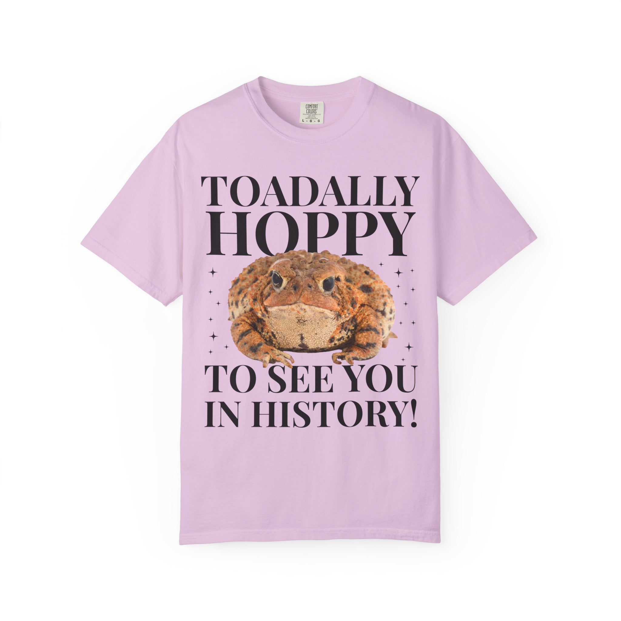 Matching Teacher T-Shirt for Second Grade Crew or High School History Teachers That Love Toads, Silly Animal Lover Moddle School Teacher Tee - Opal and June