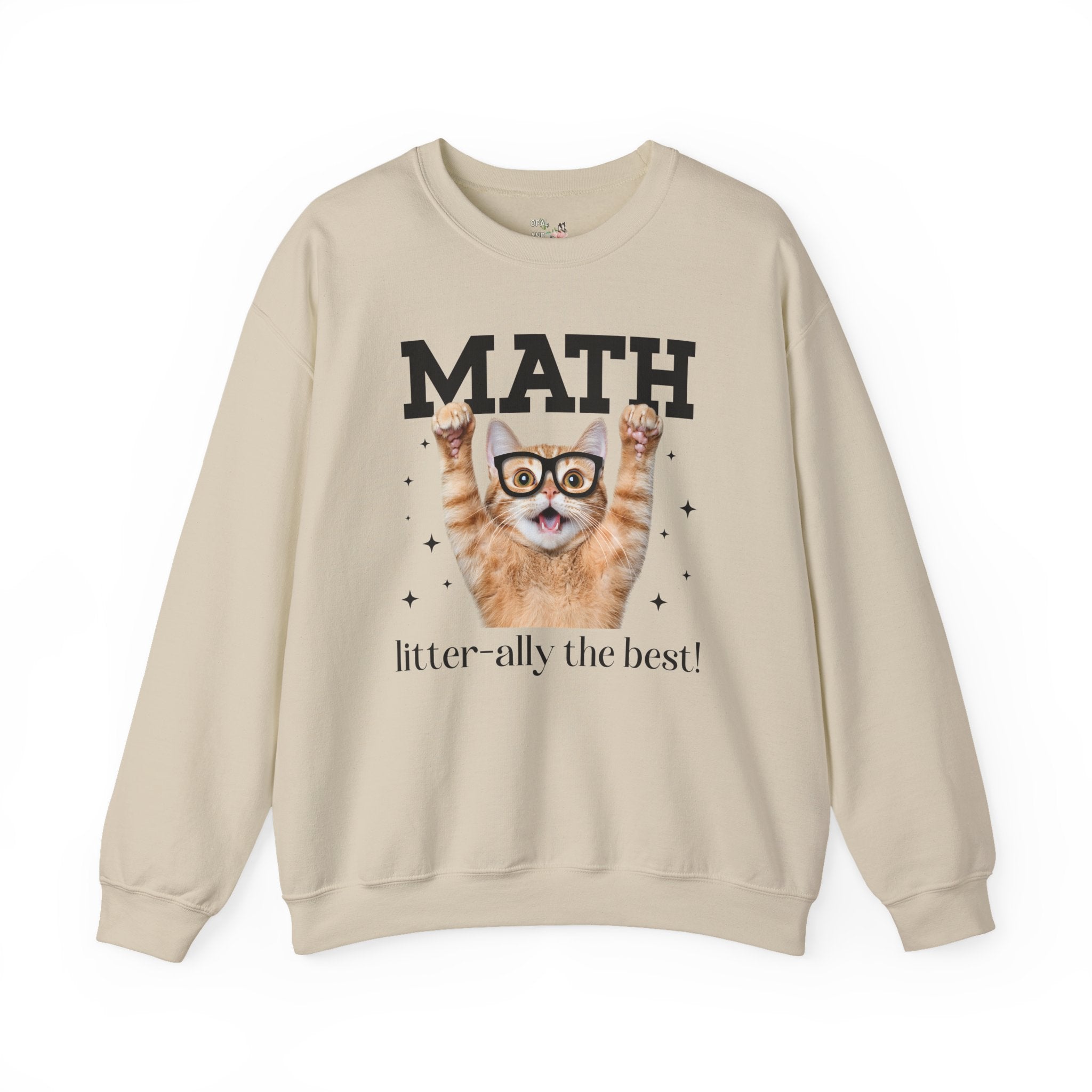 Math Teacher Sweatshirt for Cat Lover, Funny Saying Math Lover Gift, Math Major, Women in STEM, Cat Mom or Cat Dad Shirt, Middle School Math - Opal and June