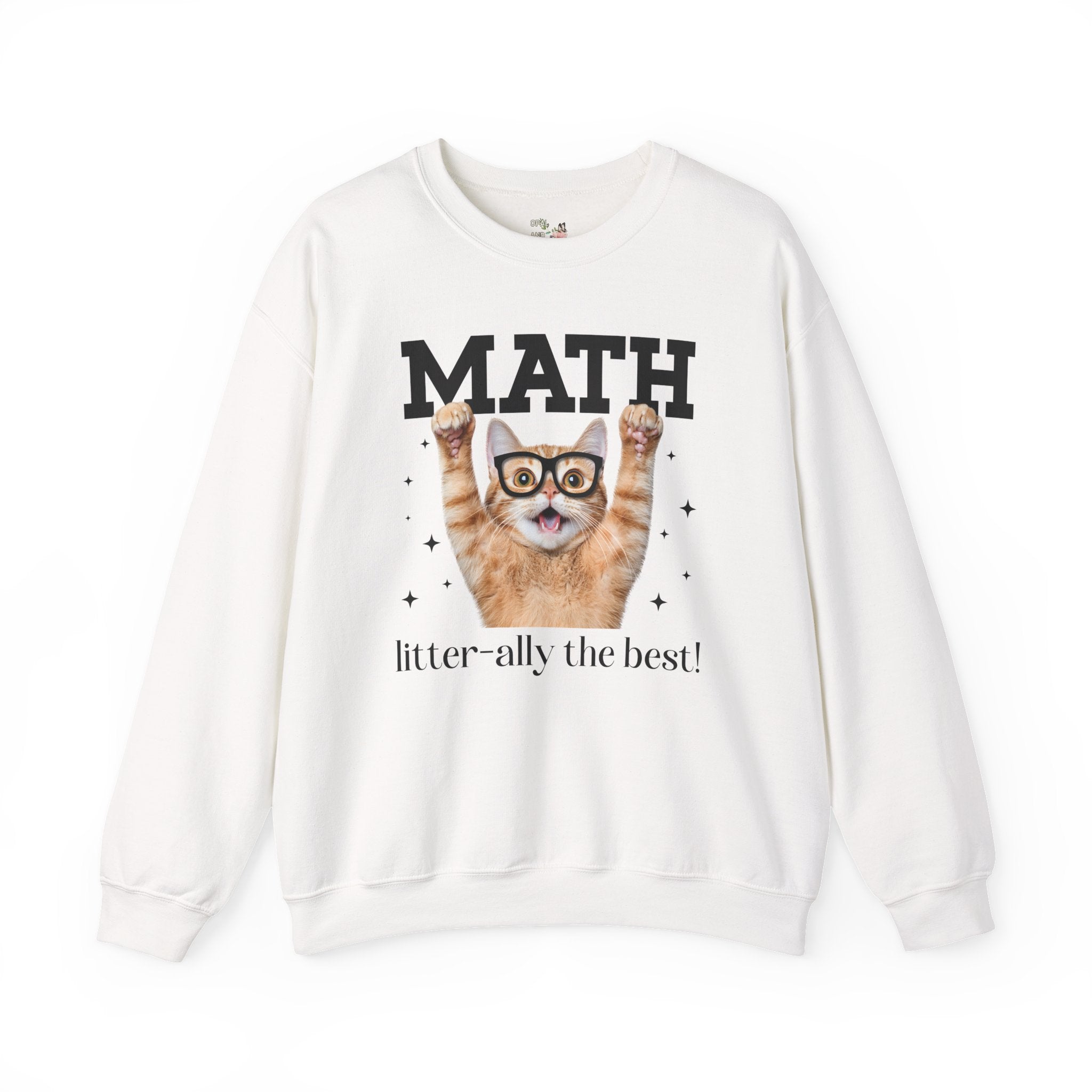 Math Teacher Sweatshirt for Cat Lover, Funny Saying Math Lover Gift, Math Major, Women in STEM, Cat Mom or Cat Dad Shirt, Middle School Math - Opal and June
