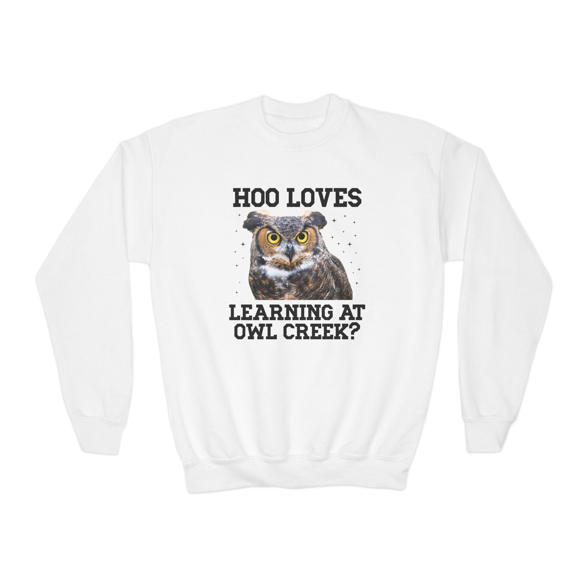 Owl Creek Elementary School Kids Sweatshirt: Hoo Loves Learning at Owl Creek? - Opal and June