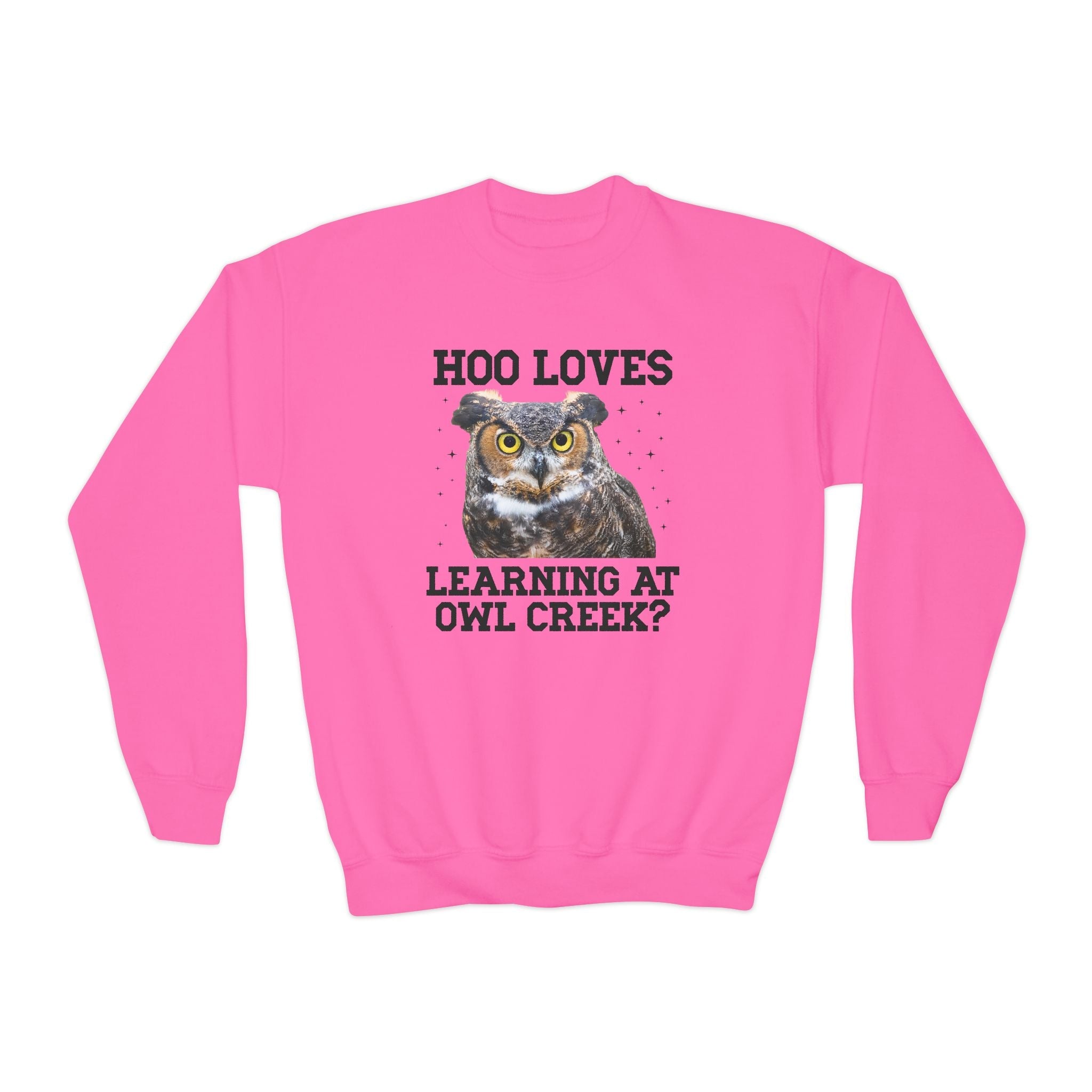 Owl Creek Elementary School Kids Sweatshirt: Hoo Loves Learning at Owl Creek? - Opal and June