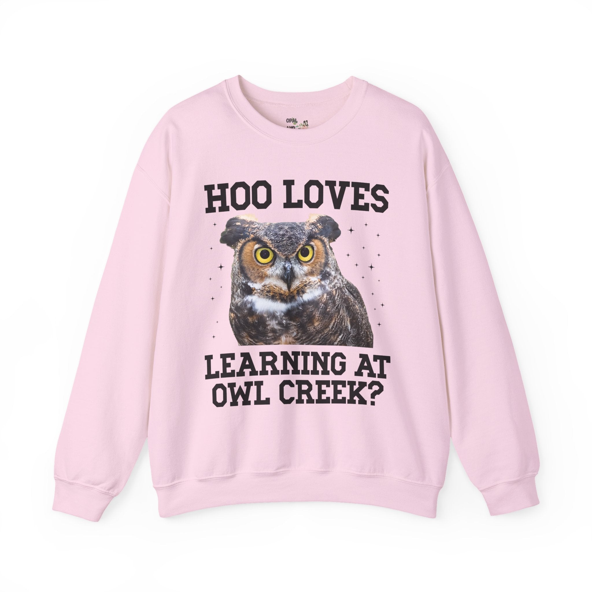 Owl Creek Elementary School Sweatshirt: Hoo Loves Learning at Owl Creek? - Opal and June