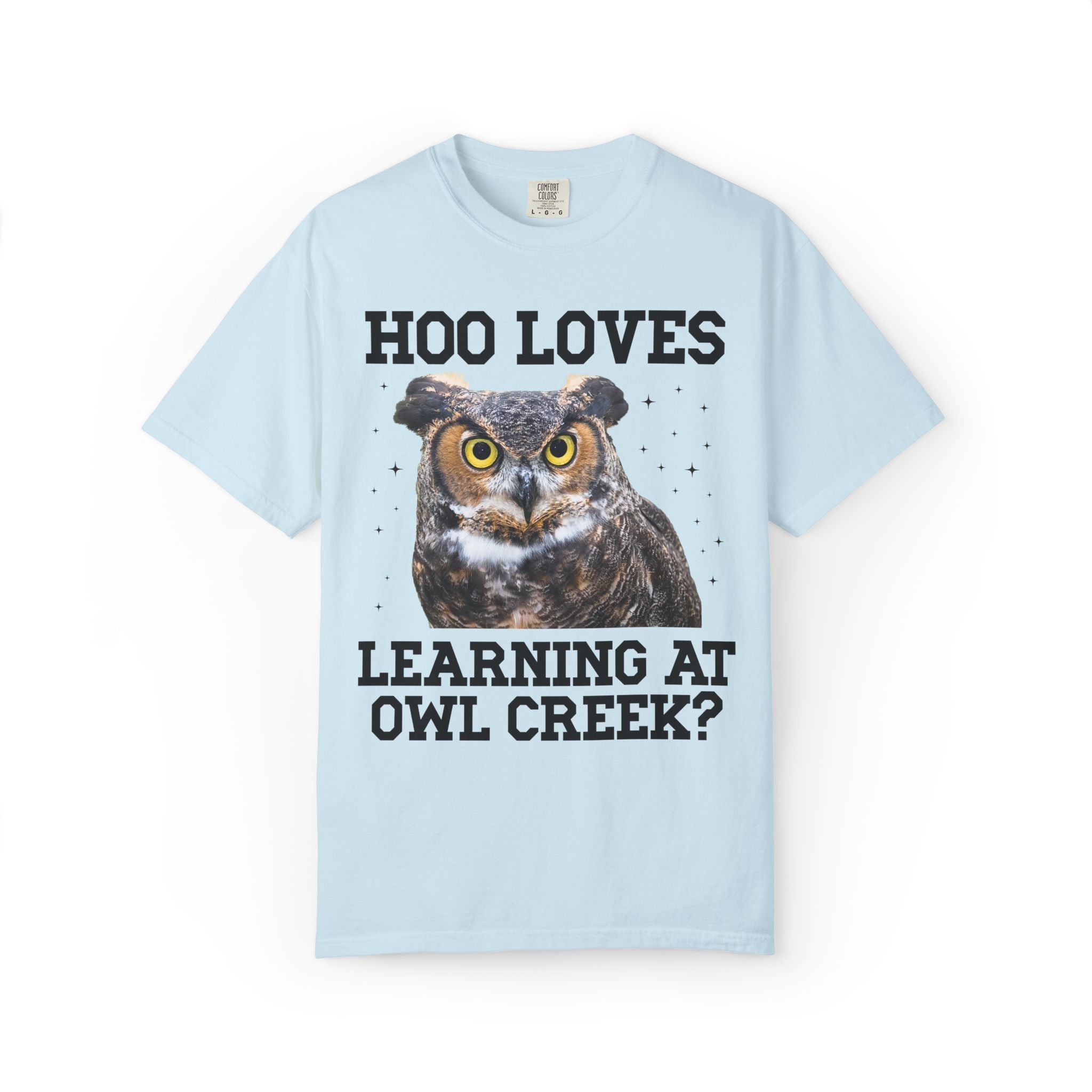 Owl Creek Elementary School Tee Shirt: Hoo Loves Learning at Owl Creek? - Opal and June