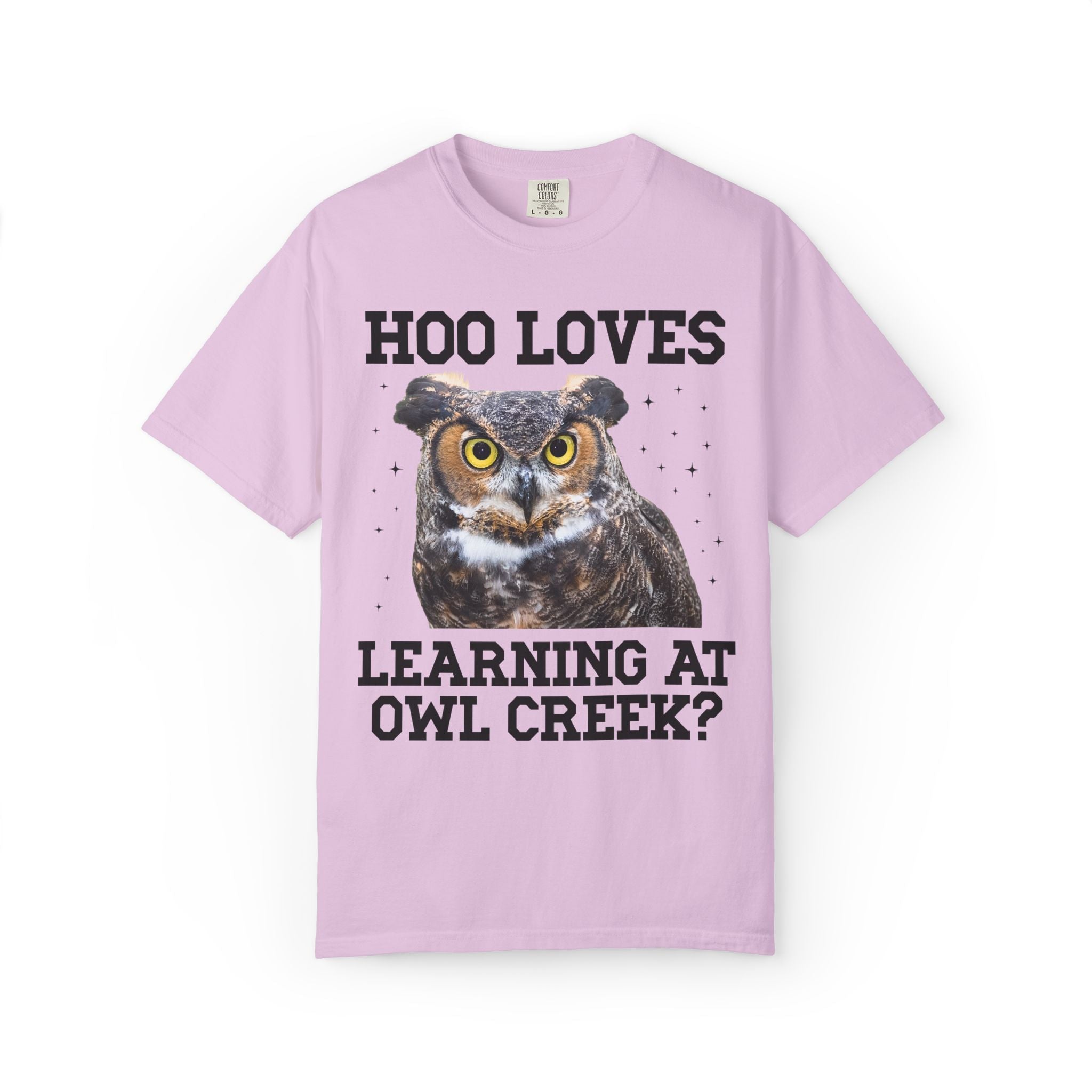 Owl Creek Elementary School Tee Shirt: Hoo Loves Learning at Owl Creek? - Opal and June
