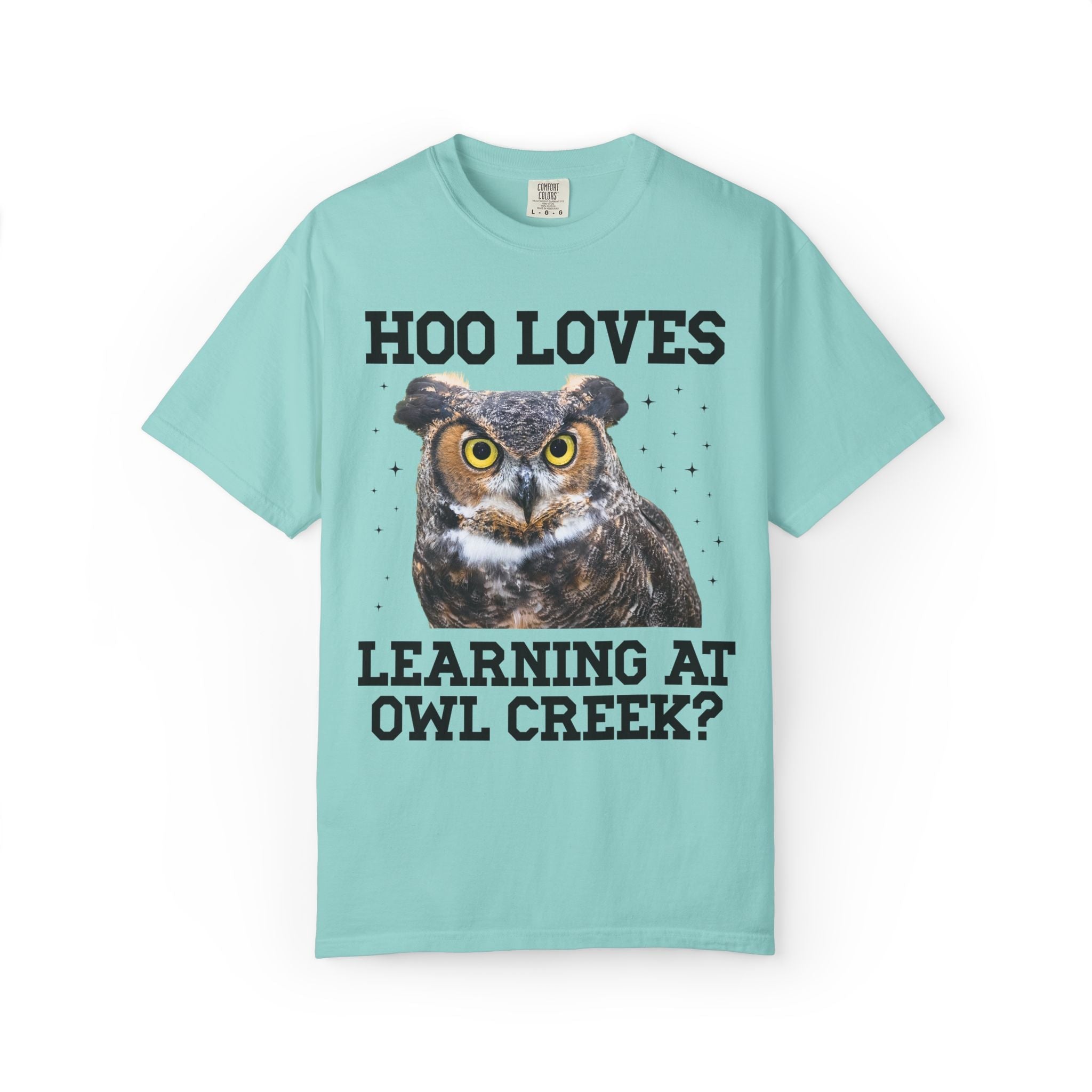 Owl Creek Elementary School Tee Shirt: Hoo Loves Learning at Owl Creek? - Opal and June
