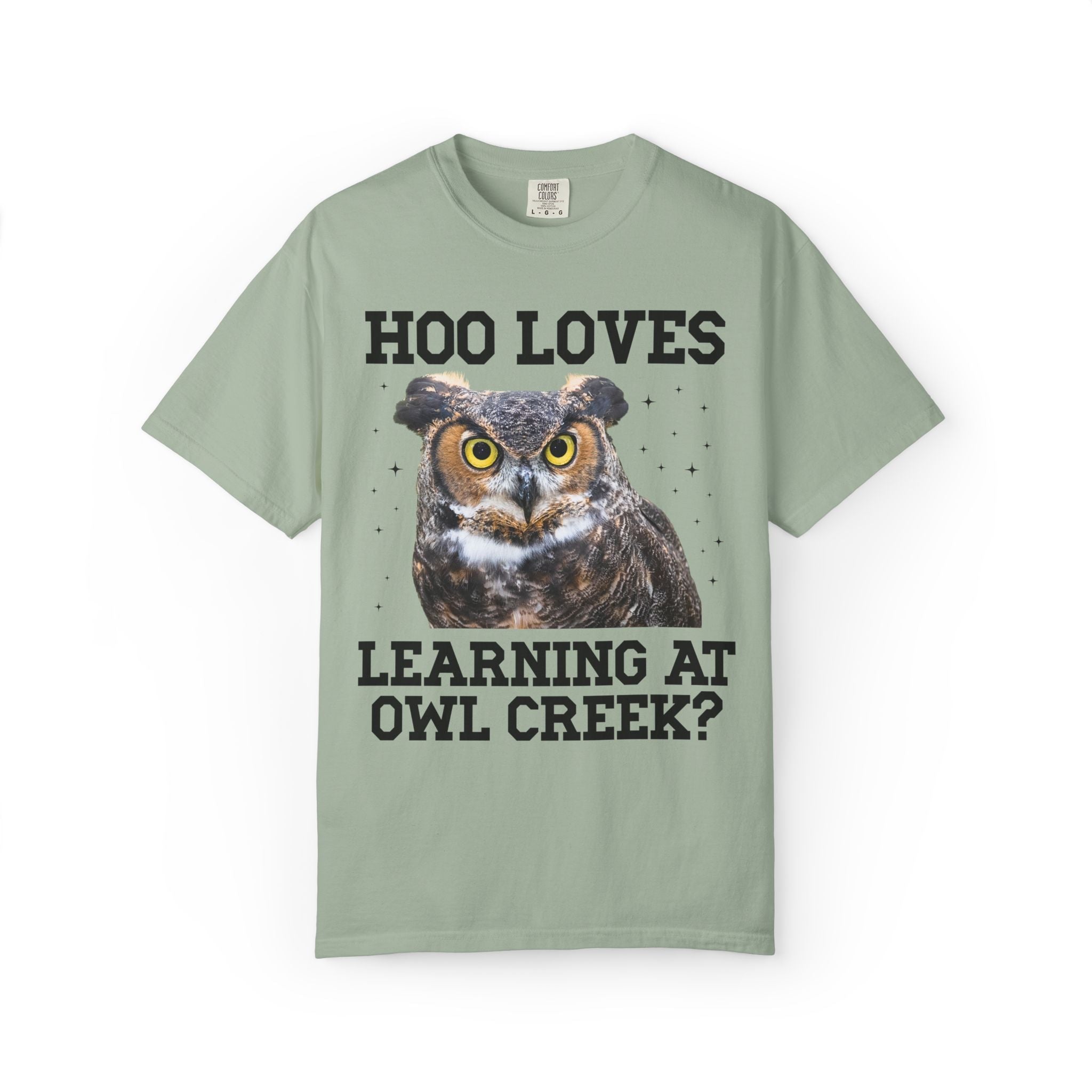 Owl Creek Elementary School Tee Shirt: Hoo Loves Learning at Owl Creek? - Opal and June