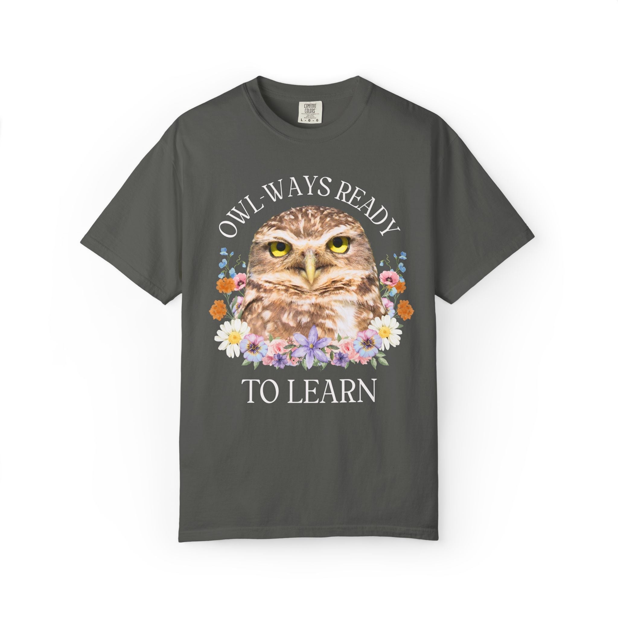 Owl High School Matching Teacher T-Shirt for School Office Staff, Funny Animal Lover T-Shirt for School Administration or Middle School Math - Opal and June