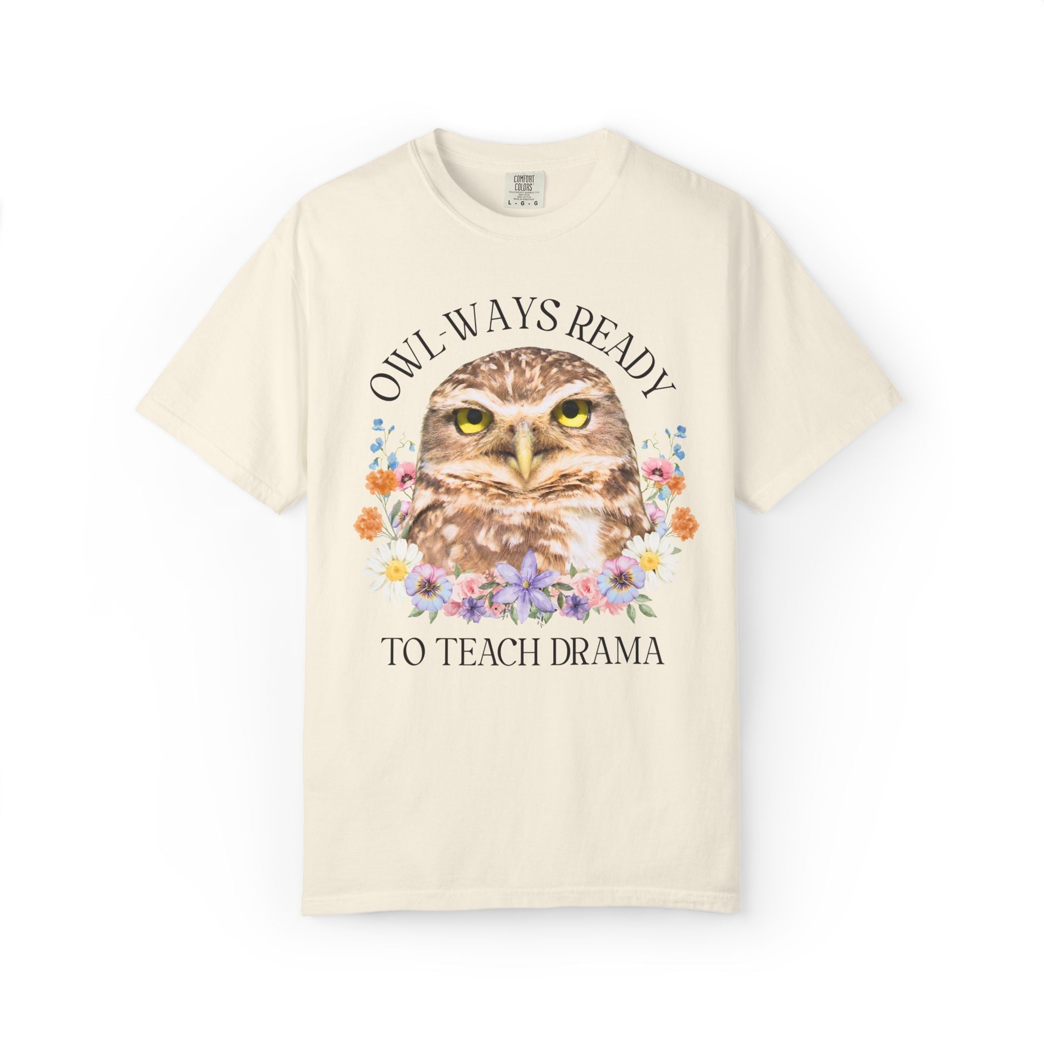 Owl High School Matching Teacher T-Shirt for School Office Staff, Funny Animal Lover T-Shirt for School Administration or Middle School Math - Opal and June