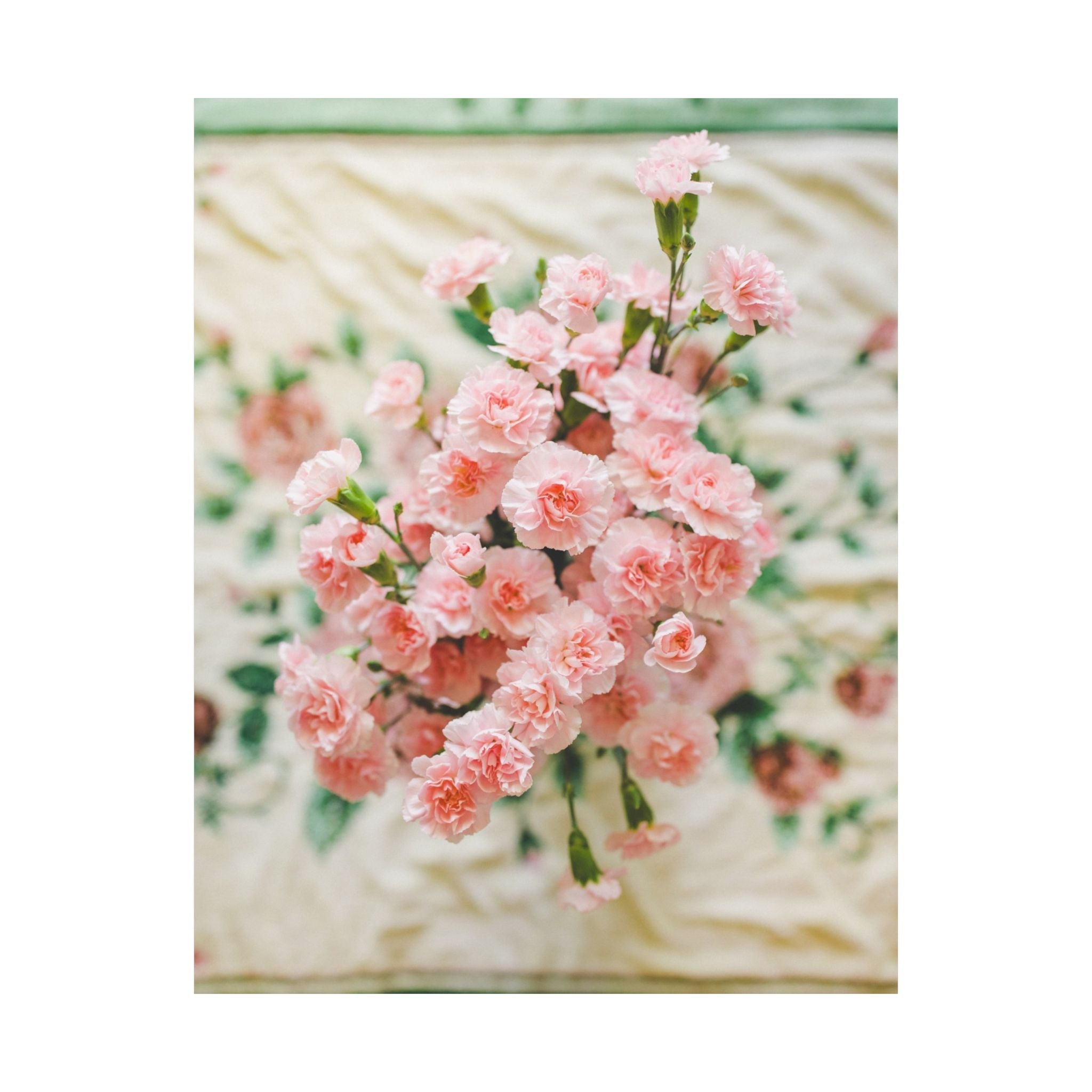 Pink Carnation Flower Wall Art: Original Photograph of Small Pink Flowers, Vintage Aesthetic Blanket, Floral Cottagecore, Library Wall Decor - Opal and June