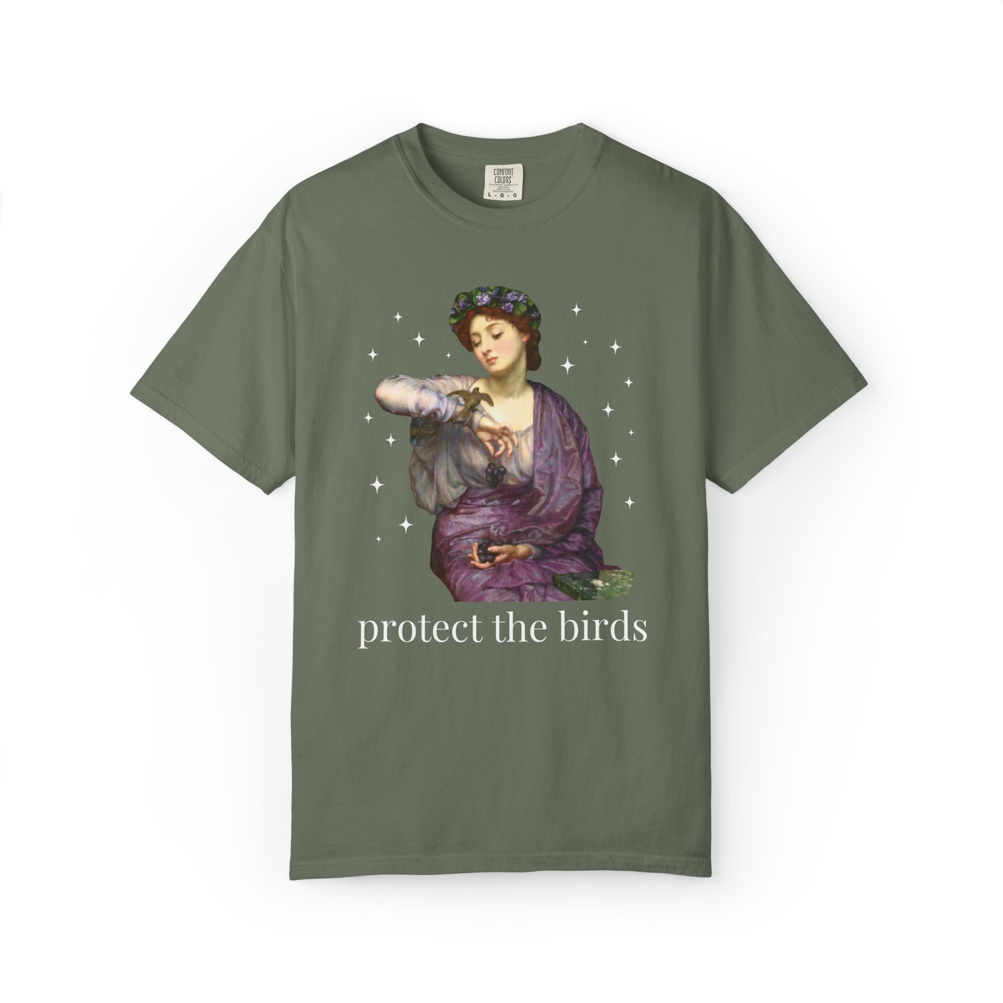 Protect the Birds Art History Tee Shirt - Opal and June