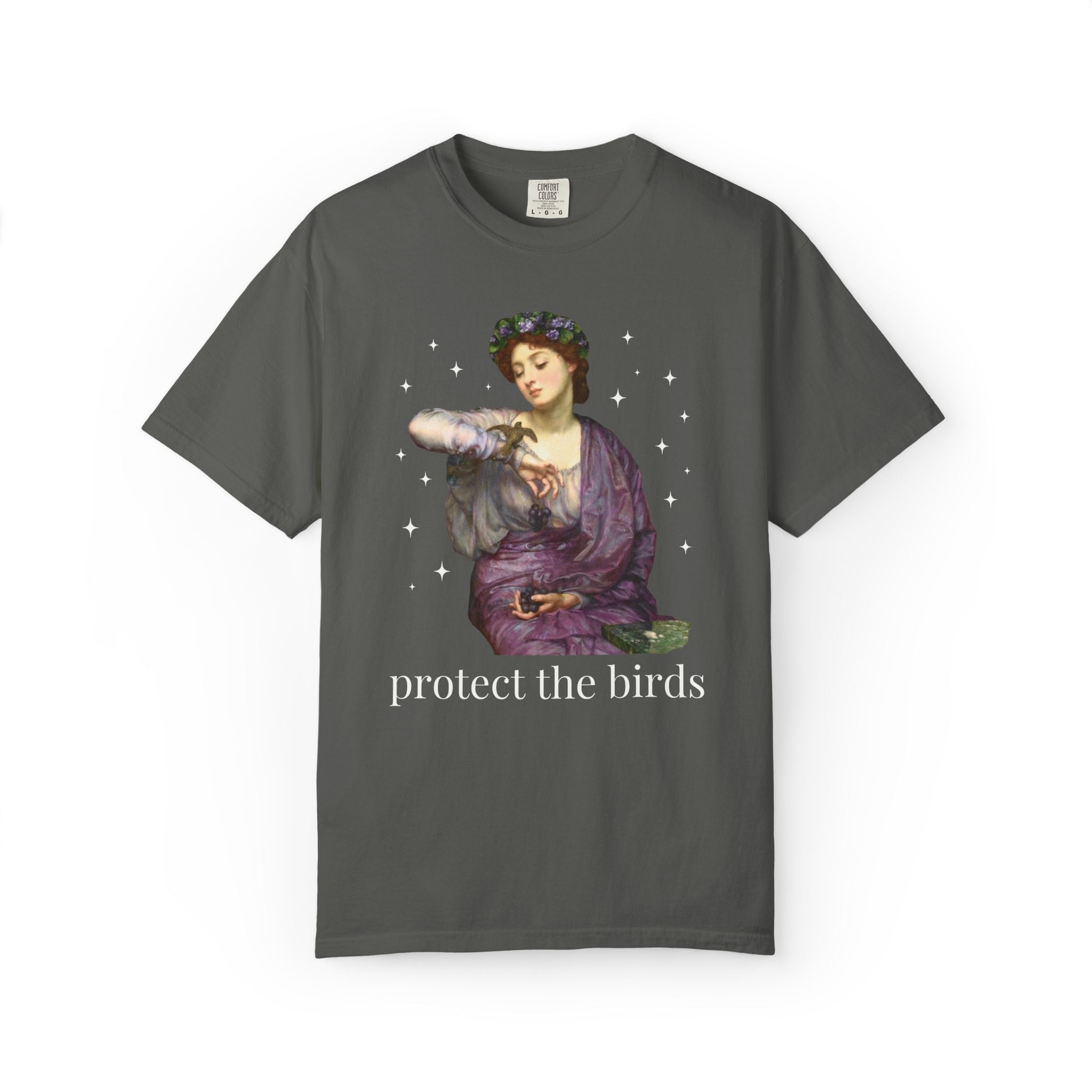 Protect the Birds Art History Tee Shirt - Opal and June