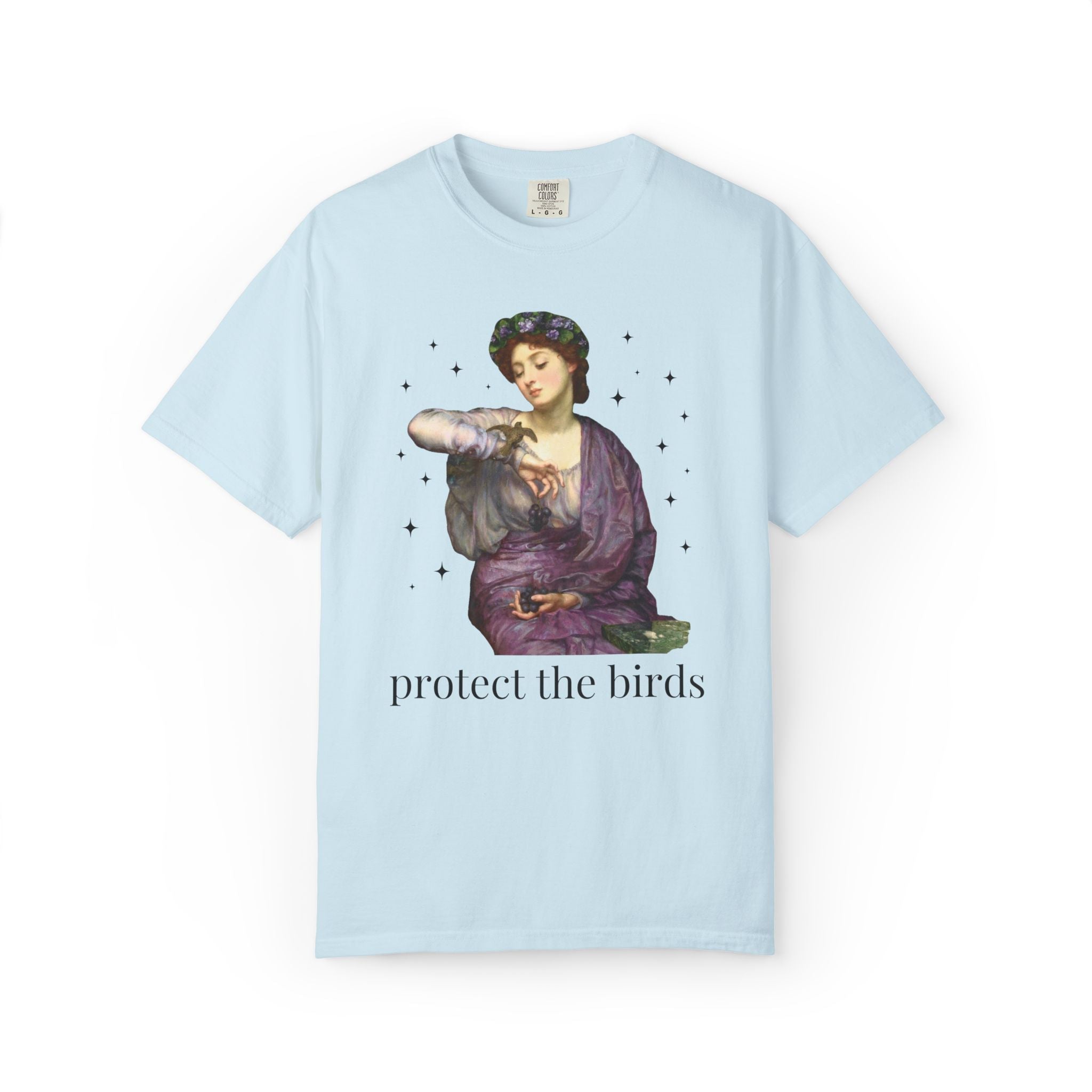 Protect the Birds Art History Tee Shirt - Opal and June