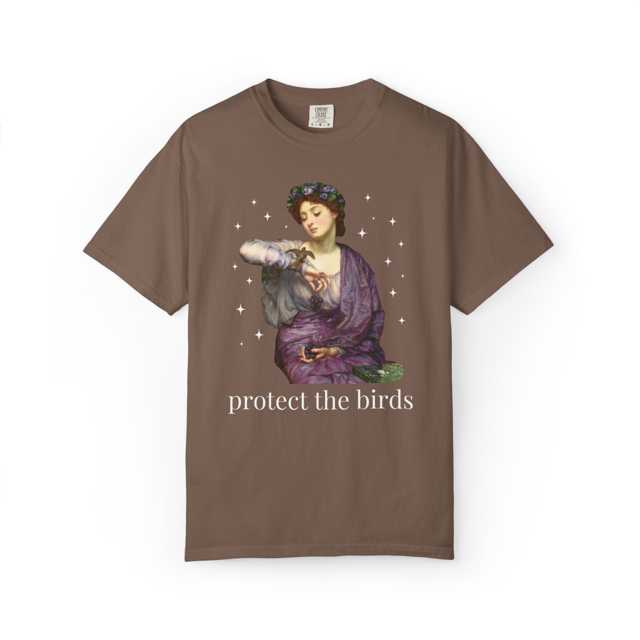 Protect the Birds Art History Tee Shirt - Opal and June