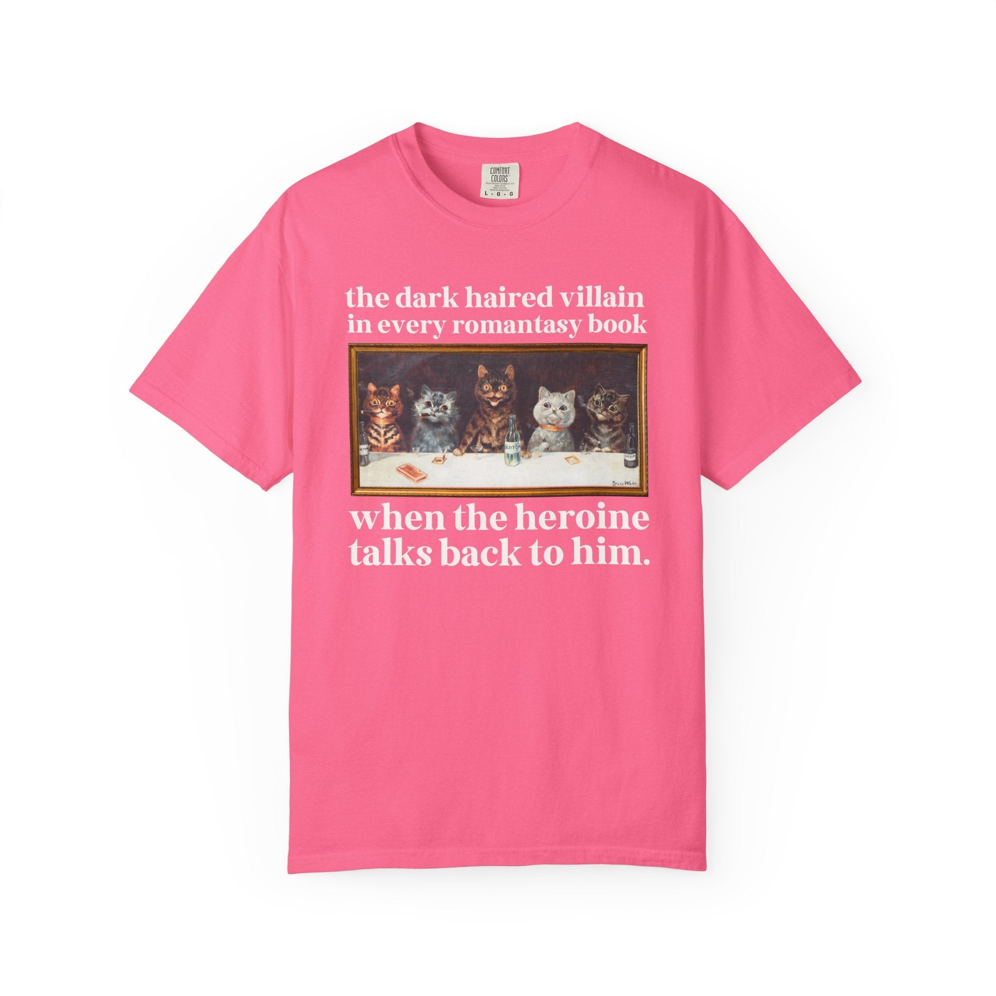 Romantasy Villain Lover Tee Shirt for Cat Mom or Cat Dad, Funny Saying Bookworm T-Shirt for Romance Reader, Silly Fantasy Romance Tropes Tee - Opal and June