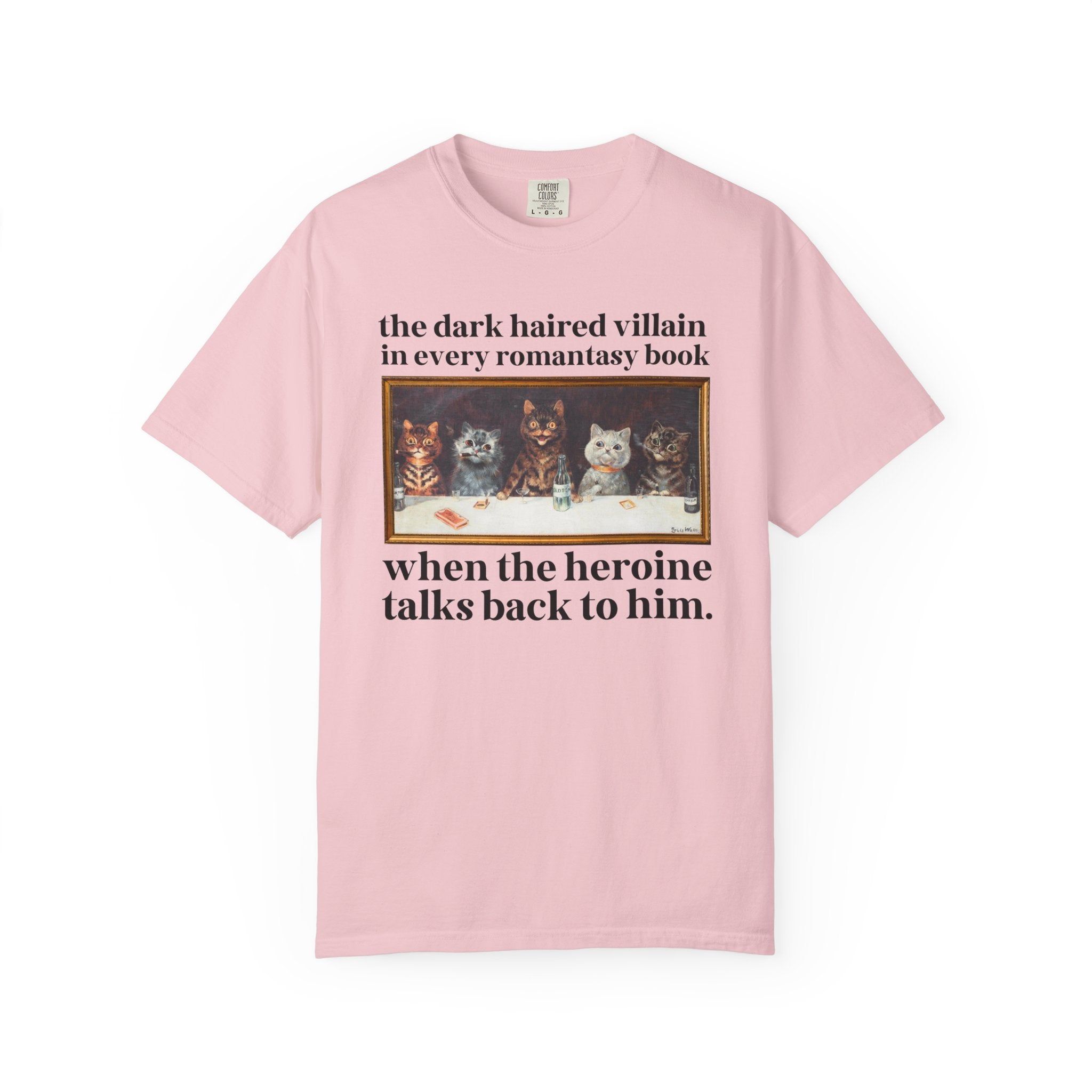 Romantasy Villain Lover Tee Shirt for Cat Mom or Cat Dad, Funny Saying Bookworm T-Shirt for Romance Reader, Silly Fantasy Romance Tropes Tee - Opal and June