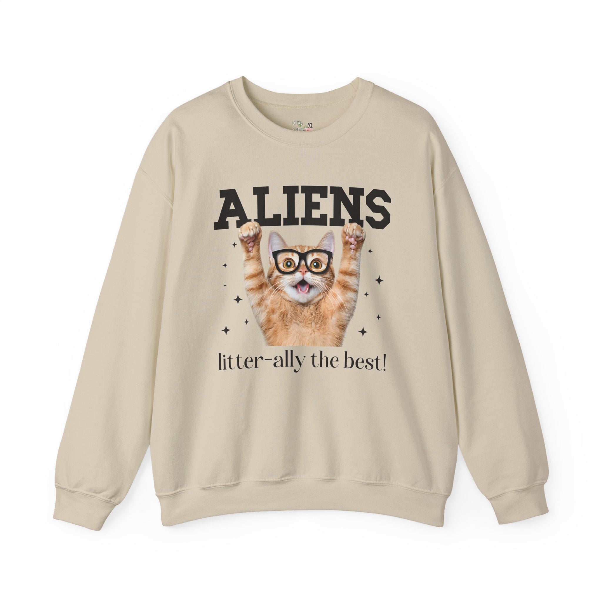 Silly Alien Lover Sweatshirt for Cat Mom or Cat Dad, Funny 90s Aesthetic Cat Lover Gift for Sister Who Loves Paranormal Stories and UFOs - Opal and June