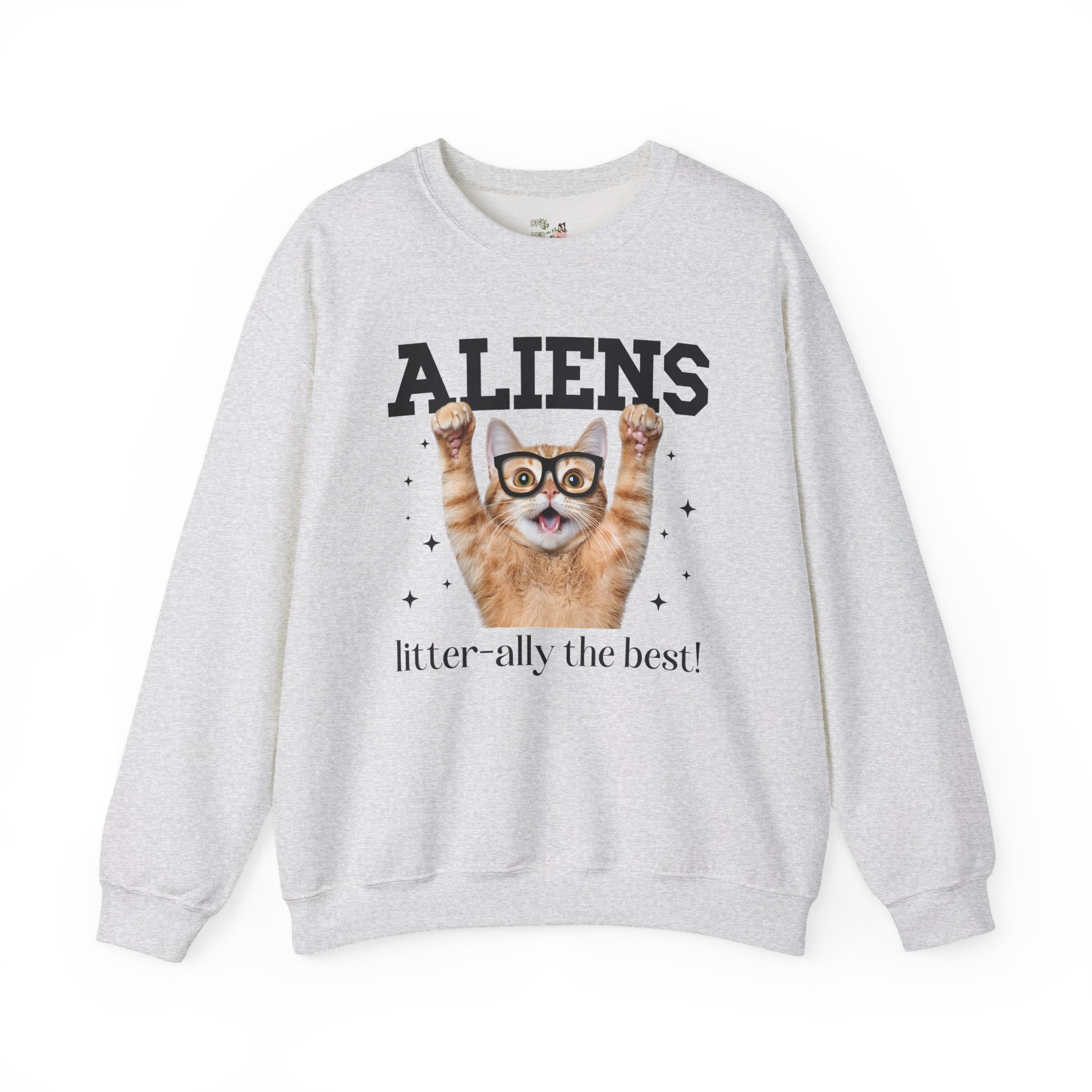 Silly Alien Lover Sweatshirt for Cat Mom or Cat Dad, Funny 90s Aesthetic Cat Lover Gift for Sister Who Loves Paranormal Stories and UFOs - Opal and June