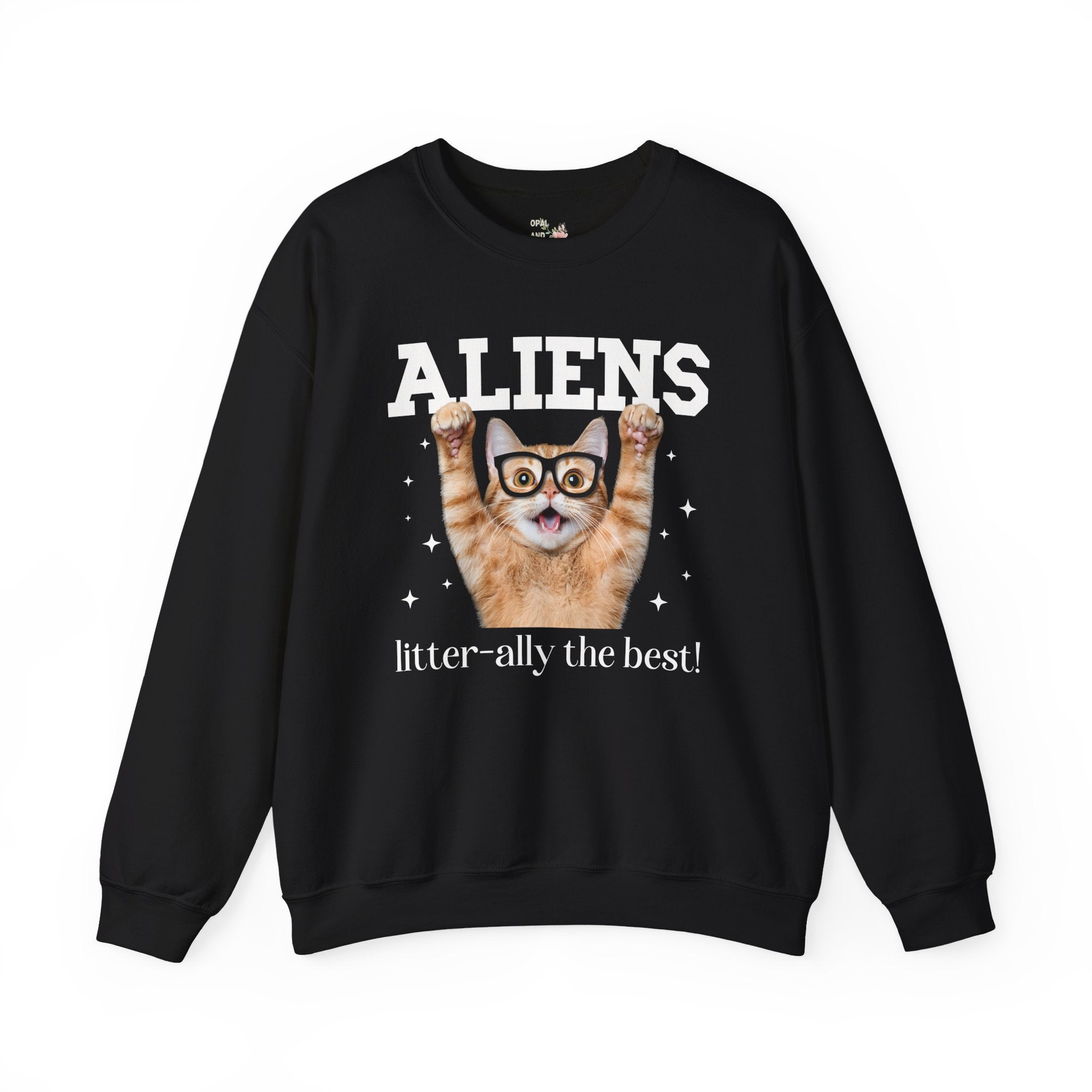Silly Alien Lover Sweatshirt for Cat Mom or Cat Dad, Funny 90s Aesthetic Cat Lover Gift for Sister Who Loves Paranormal Stories and UFOs - Opal and June