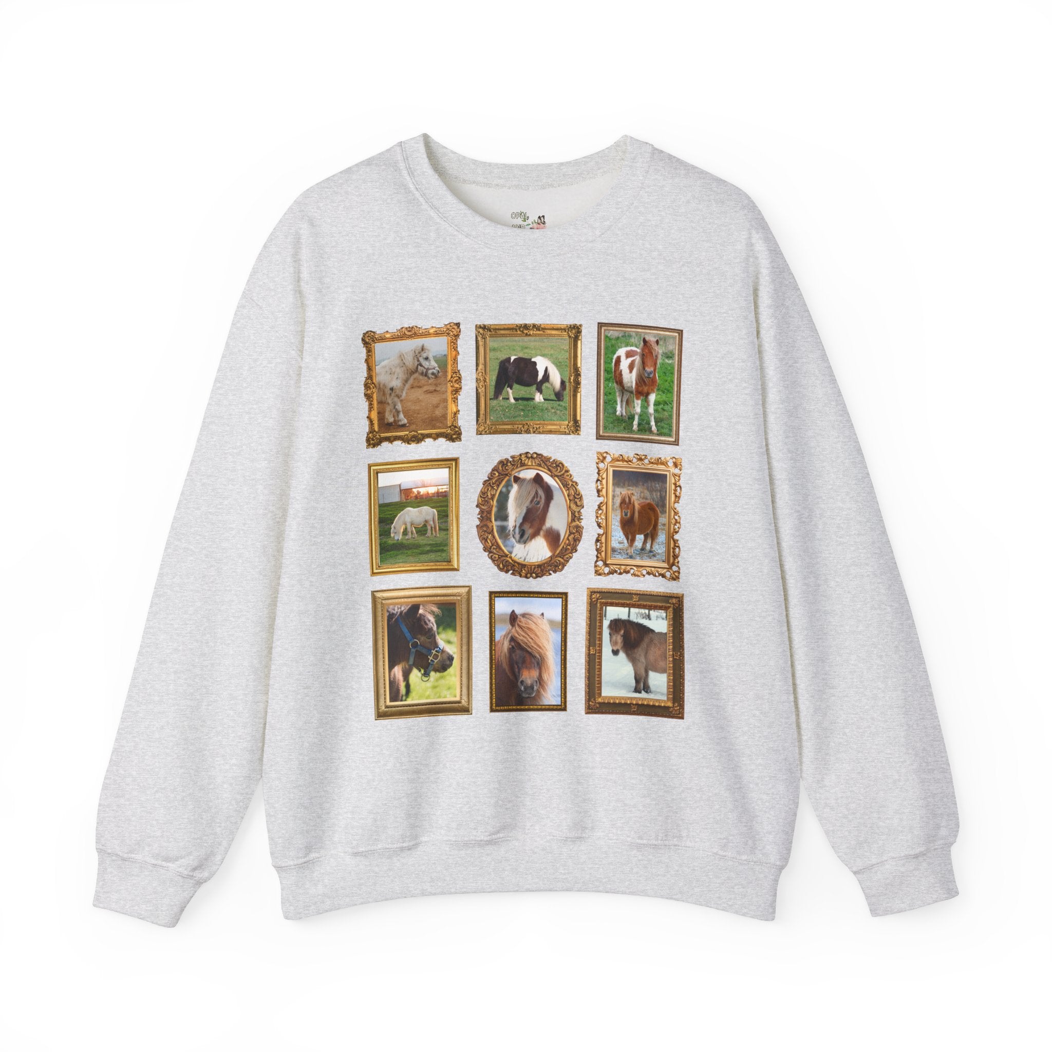 Silly Miniature Horse Lover Sweatshirt - Opal and June
