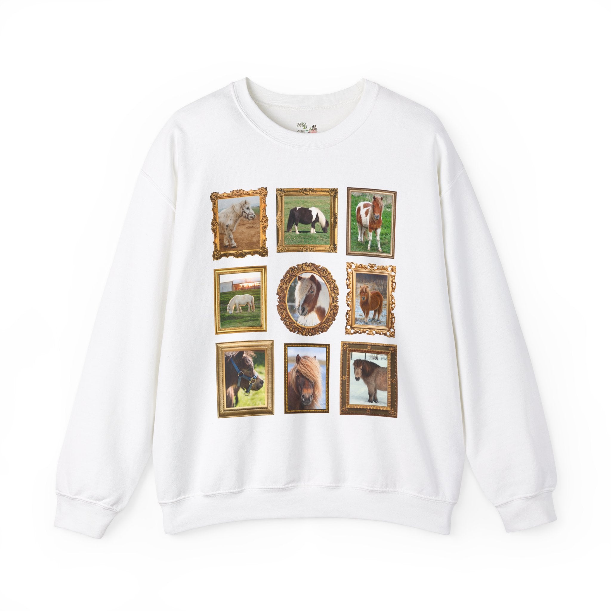 Silly Miniature Horse Lover Sweatshirt - Opal and June
