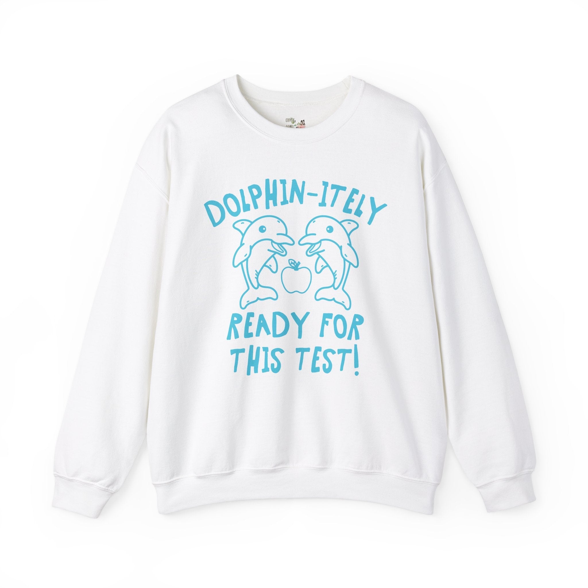 Silly Testing Day Sweatshirt, Elementary School Teacher Who Loves Dolphins, Funny Animal Lover Testing Crewneck, Matching First Grade Crew - Opal and June