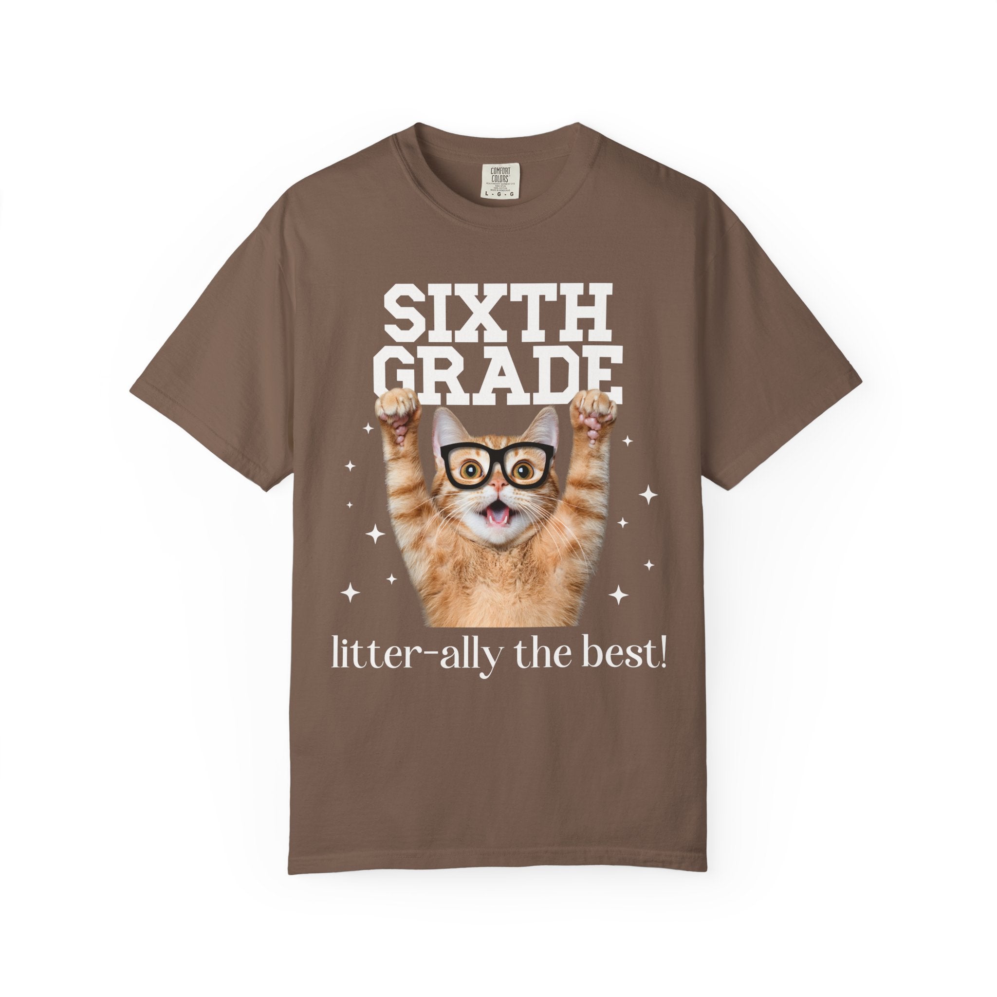 Sixth Grade Teacher Cat Lover Tee Shirt for Back to School, Funny Saying Cat Mom or Cat Dad Gift, First Day of School Teacher Team Shirt - Opal and June