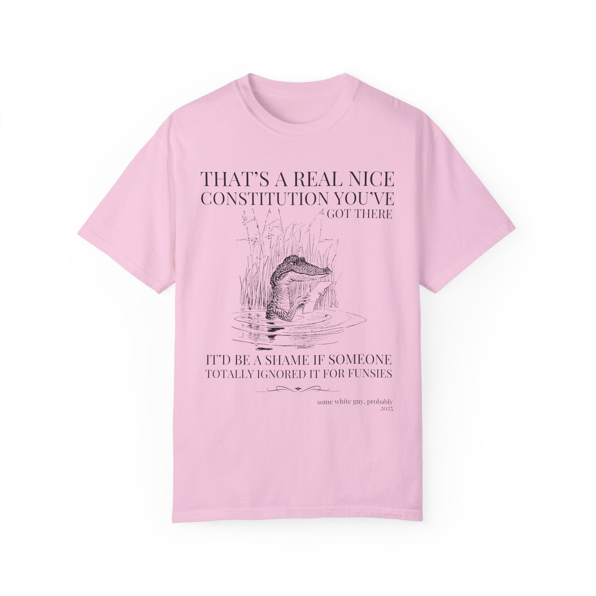 Subtle Democrat Tee Shirt, American History Teacher, History Buff, Funny Animal Lover Democratic Socialist Gift for Historian, Equal Rights - Opal and June