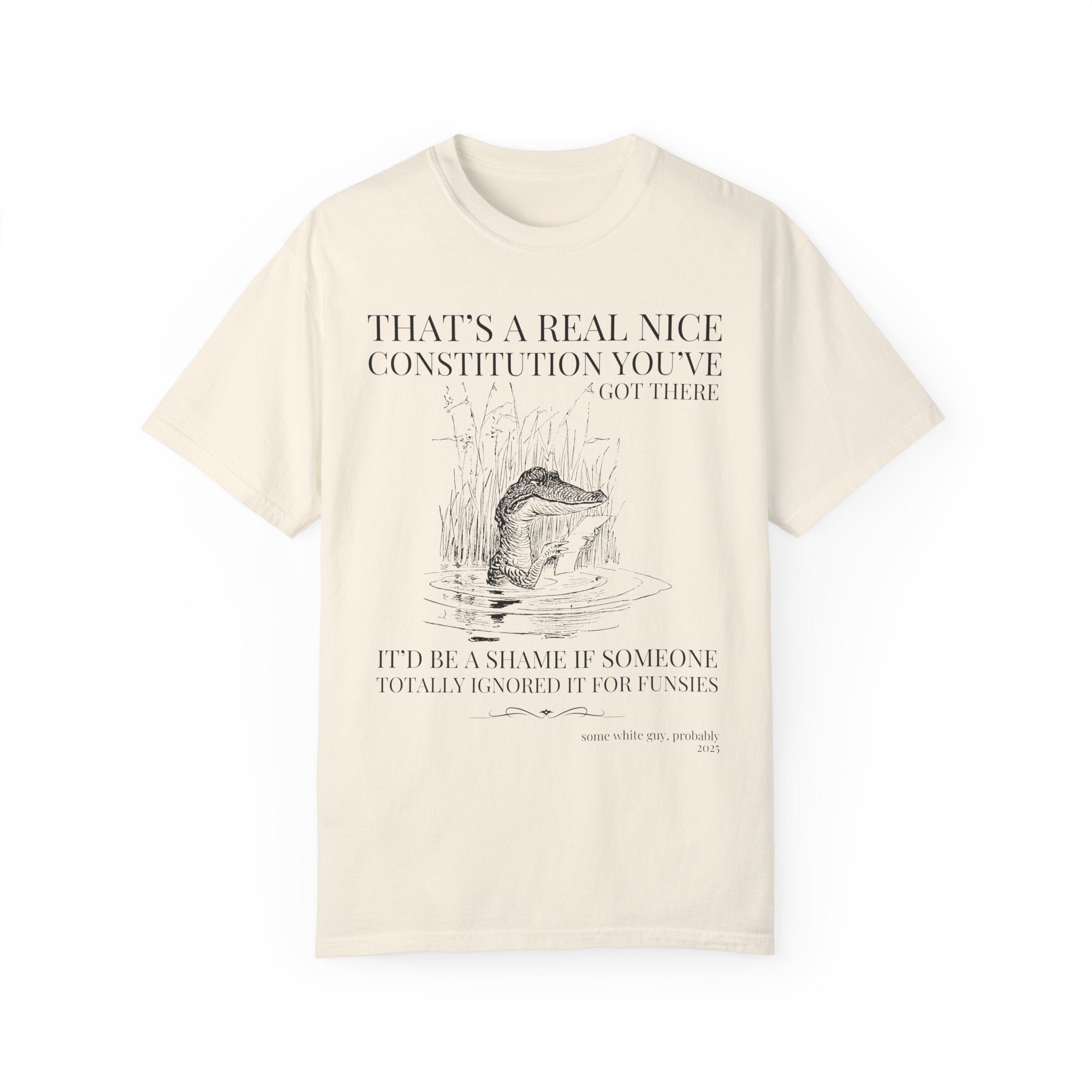 Subtle Democrat Tee Shirt, American History Teacher, History Buff, Funny Animal Lover Democratic Socialist Gift for Historian, Equal Rights - Opal and June