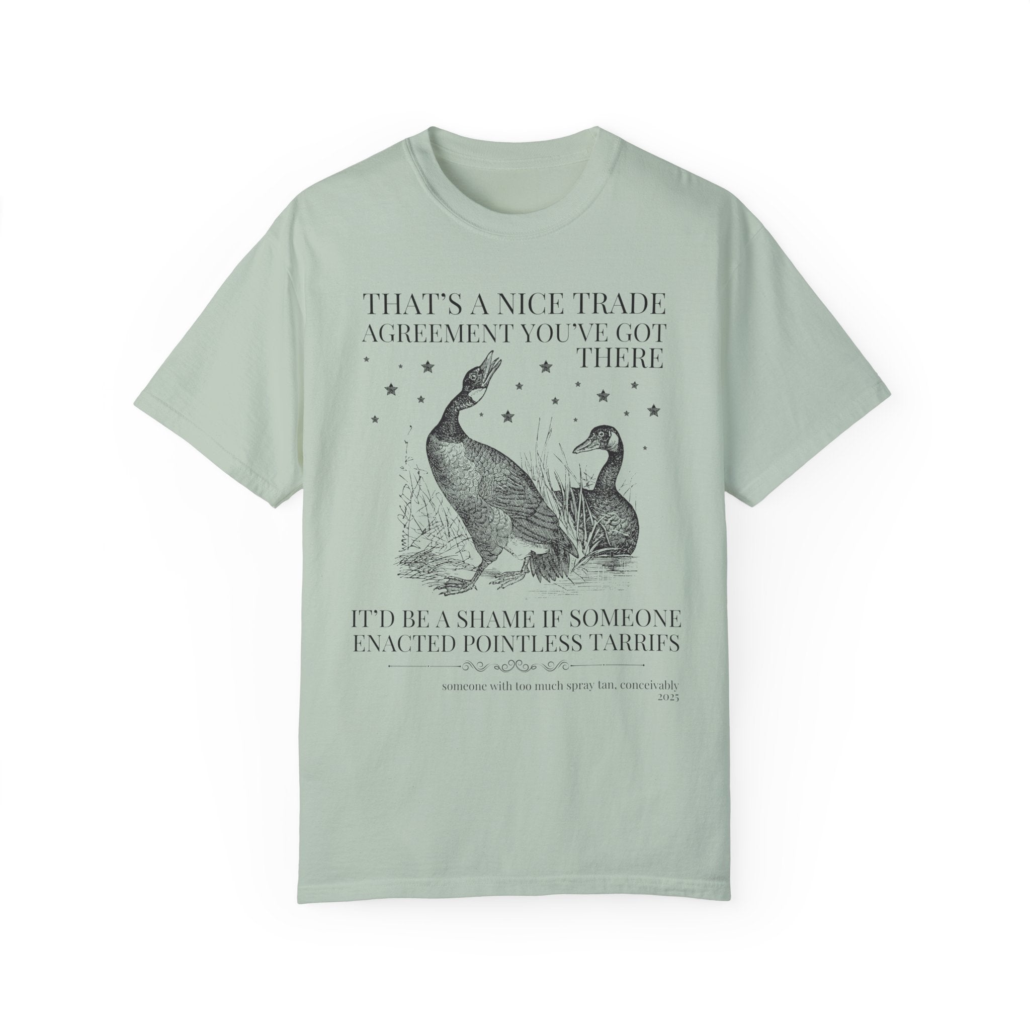Subtle Democrat Tee Shirt, Historian Who Loves Canada, Funny Animal Lover Democratic Socialist Gift for Historian, Equal Rights Leftist Tee - Opal and June
