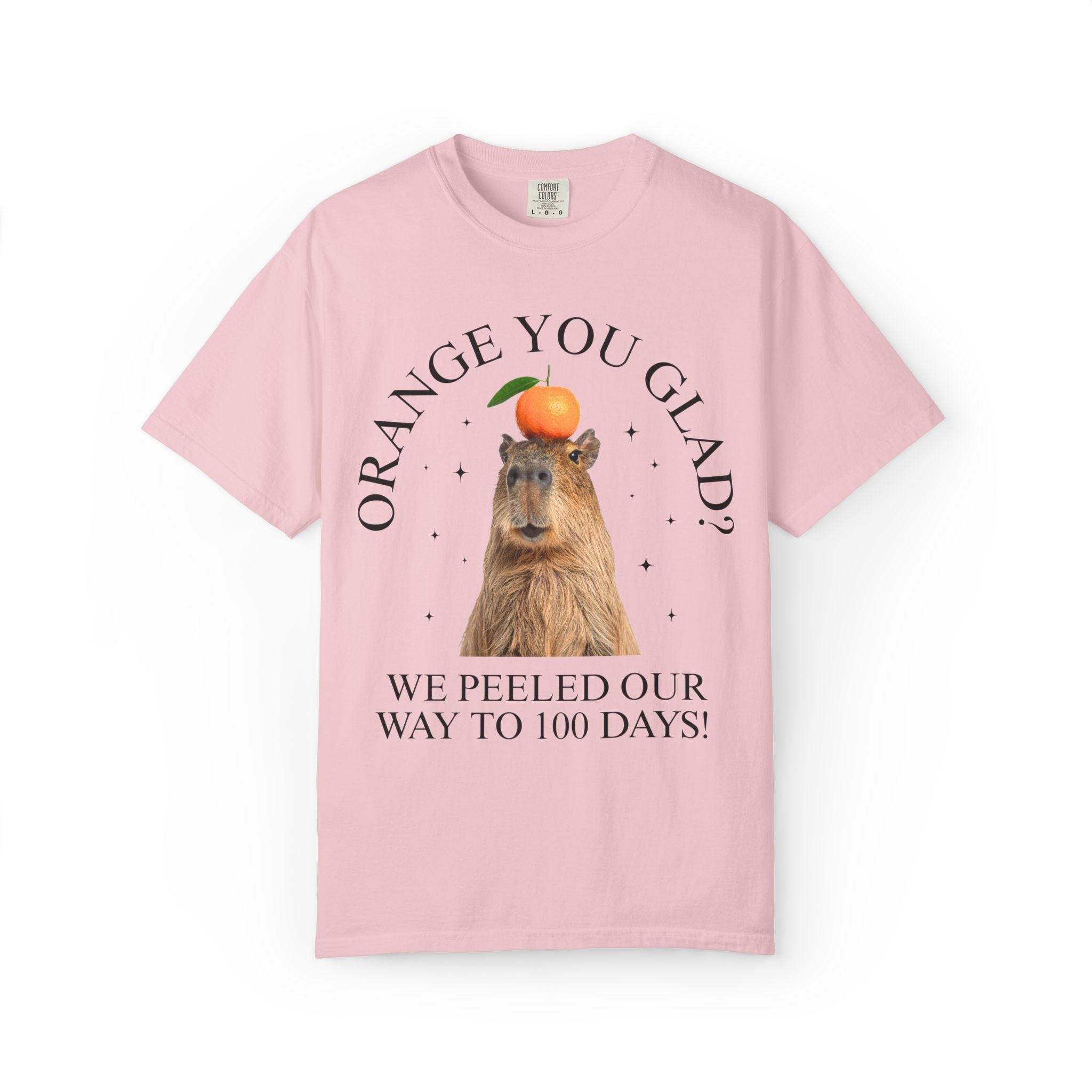 100 Days of School Animal Lover Tee Shirt with Funny Capybara Balancing an Orange, Silly Goblincore Weirdcore Tee, Matching Teacher Tee - Opal and June