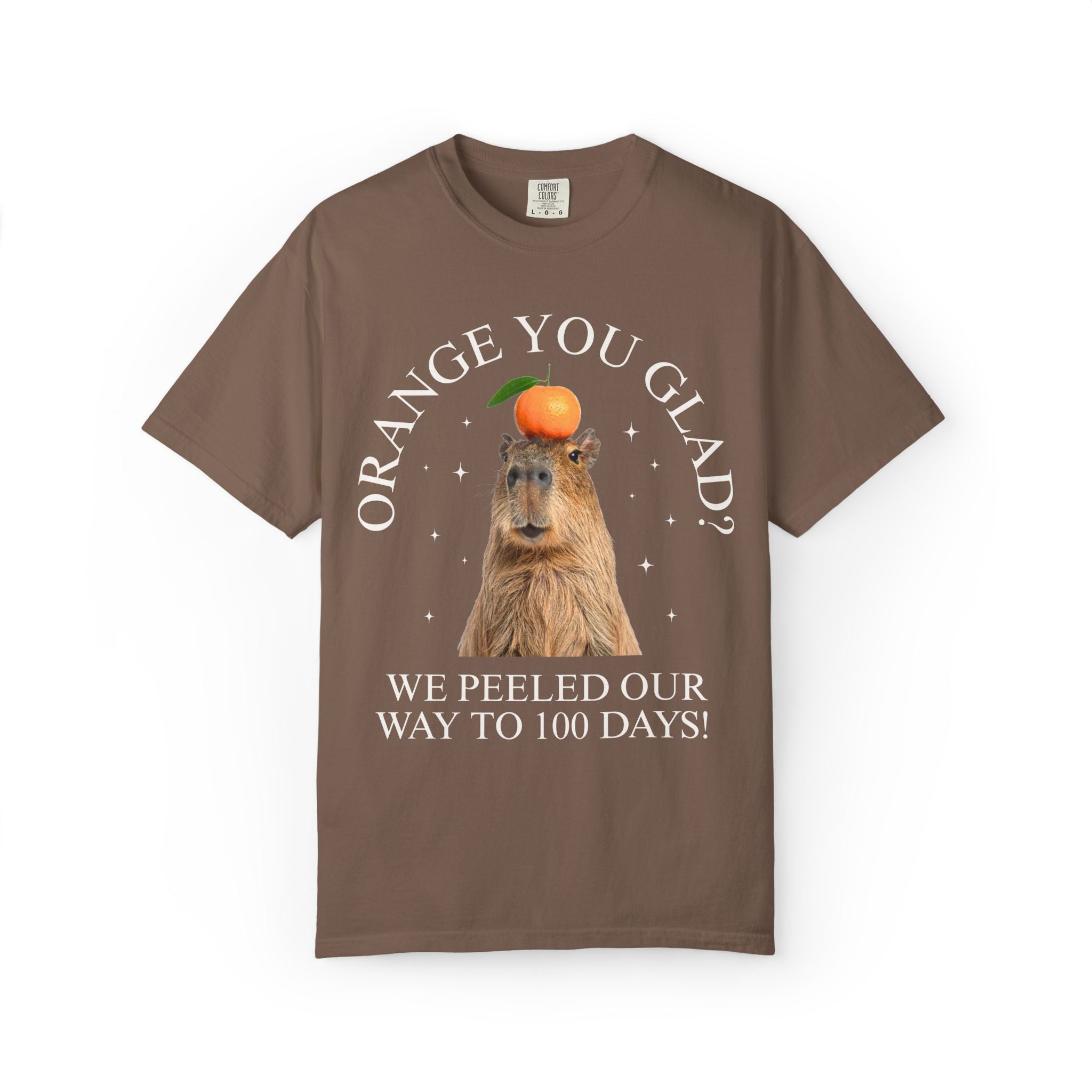 100 Days of School Animal Lover Tee Shirt with Funny Capybara Balancing an Orange, Silly Goblincore Weirdcore Tee, Matching Teacher Tee - Opal and June