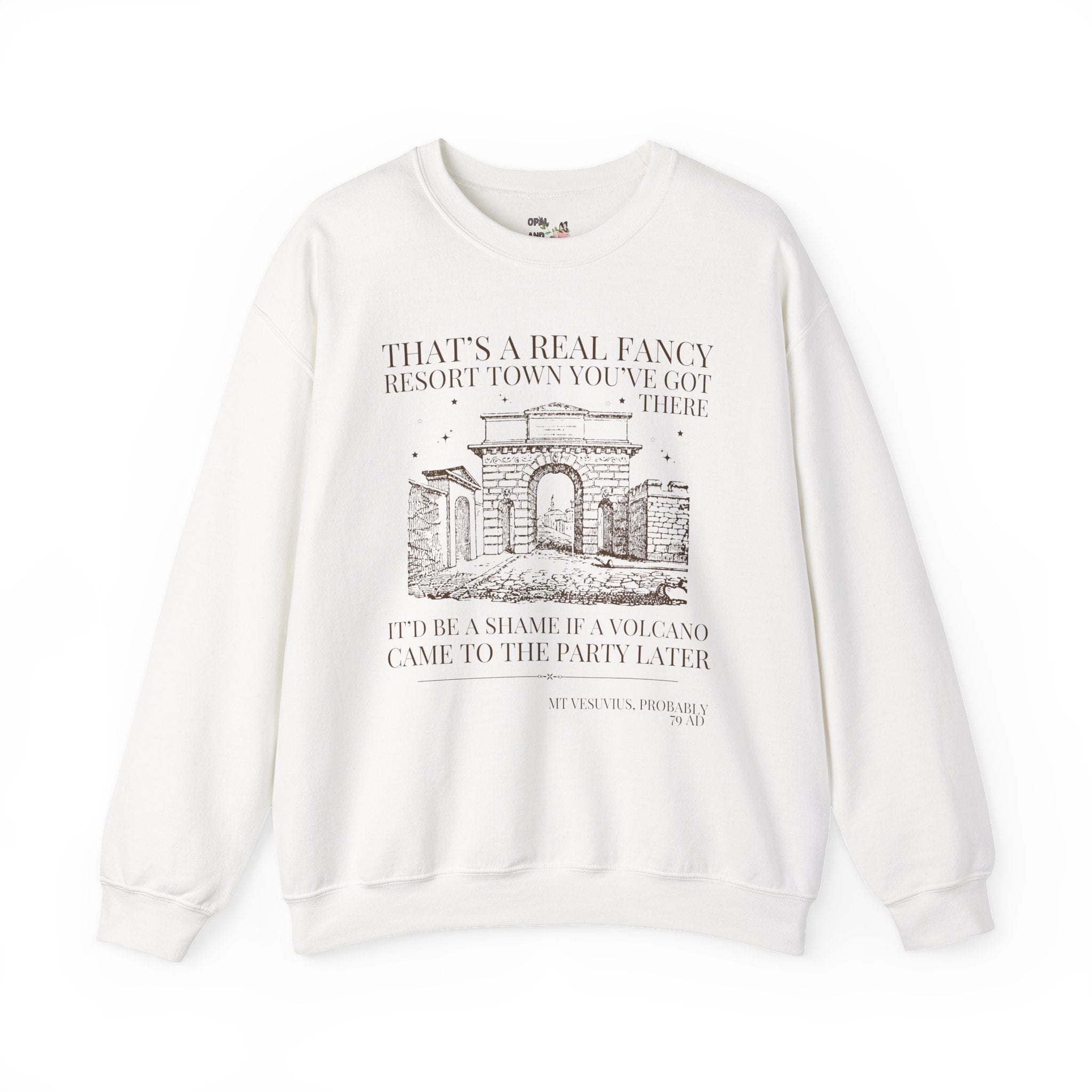 Ancient History Buff Sweatshirt: Roman History Funny Saying Pompeii Crewneck, Mt Vesuvius European History Shirt, Famous Historical Disaster