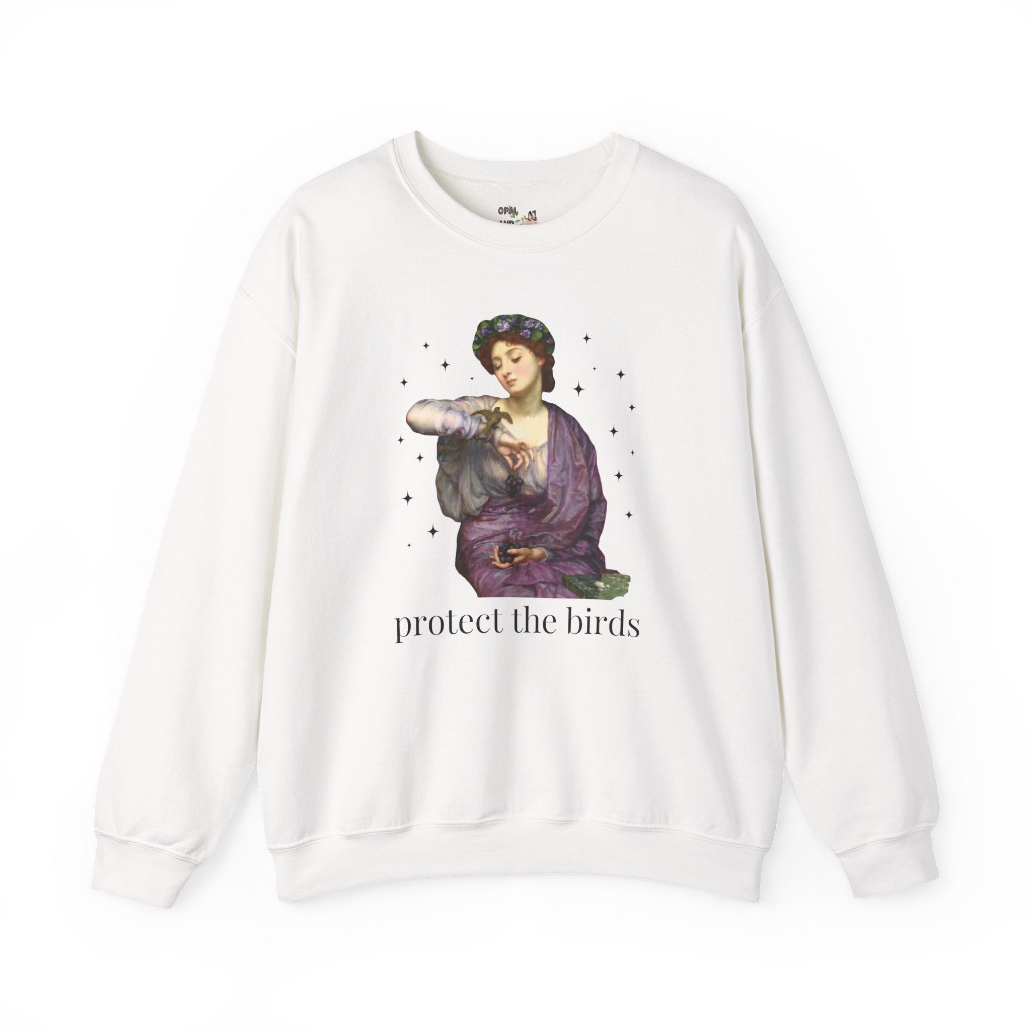 Protect the Birds Art History Sweatshirt with Famous Painting: Bird Conservation Ornithologist Biology Major or Teacher Gift, Bird Lover Crewneck