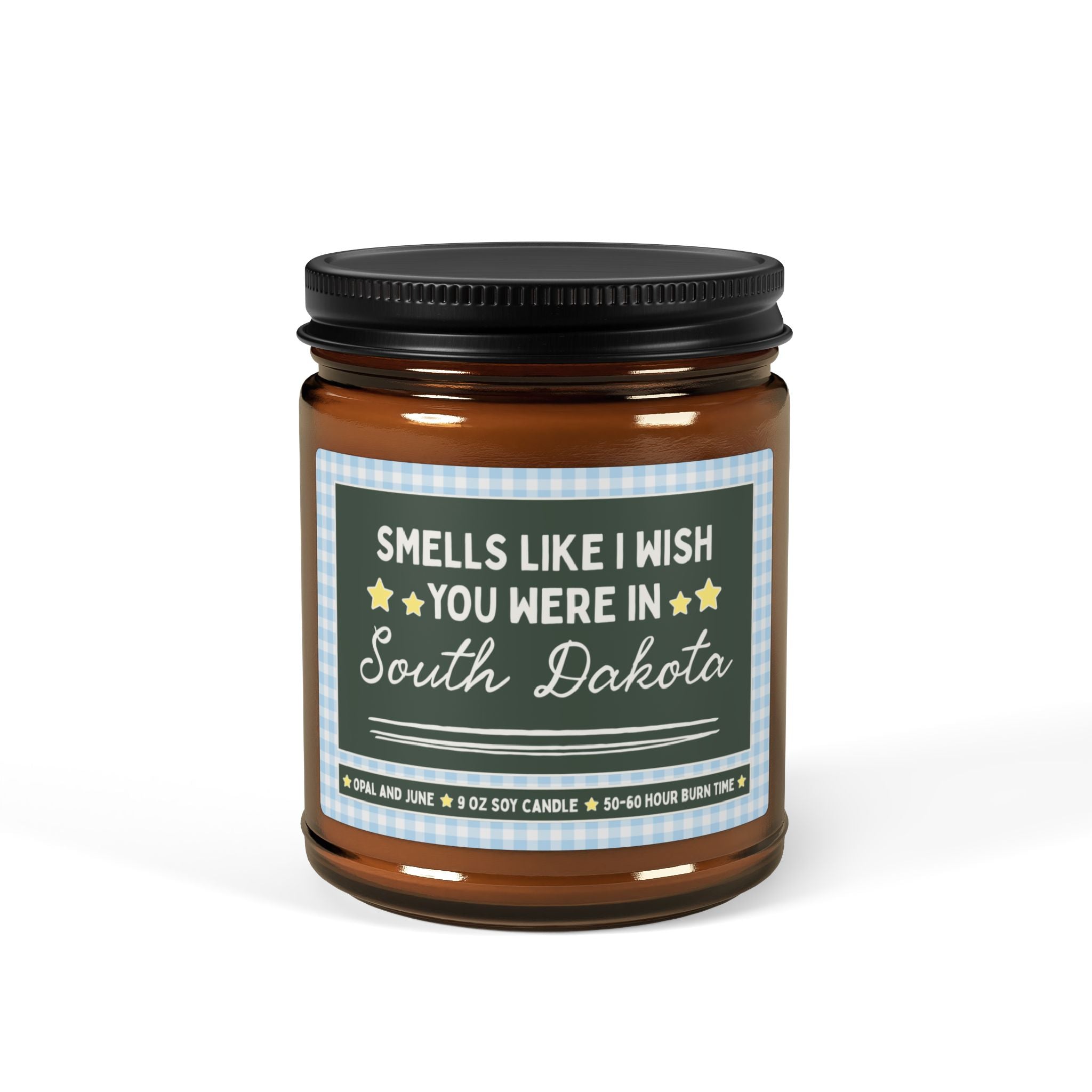Smells Like I Wish You Were in South Dakota: 9 Oz Candle for Friend or Family Member Moving from South Dakota, Long Distance Relationship